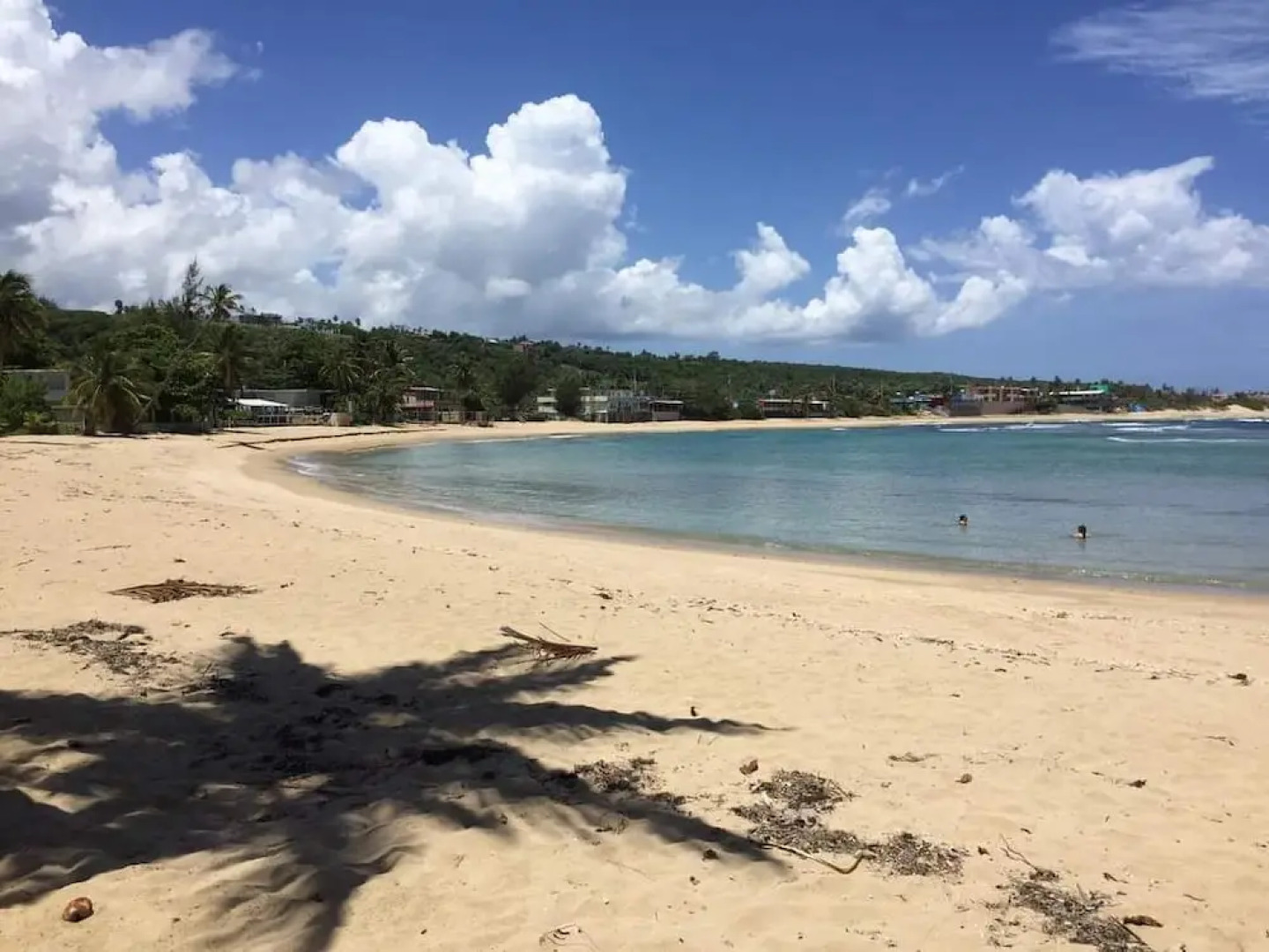 Golden Dream Studio 306 B