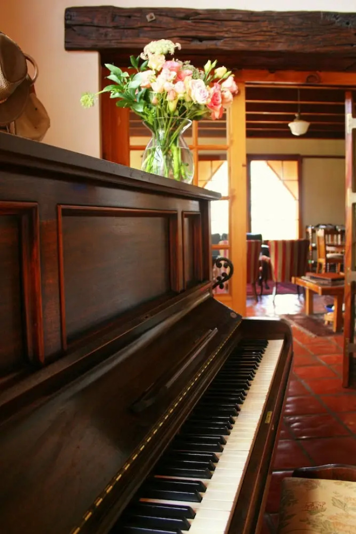 Rietfontein Ostrich Palace