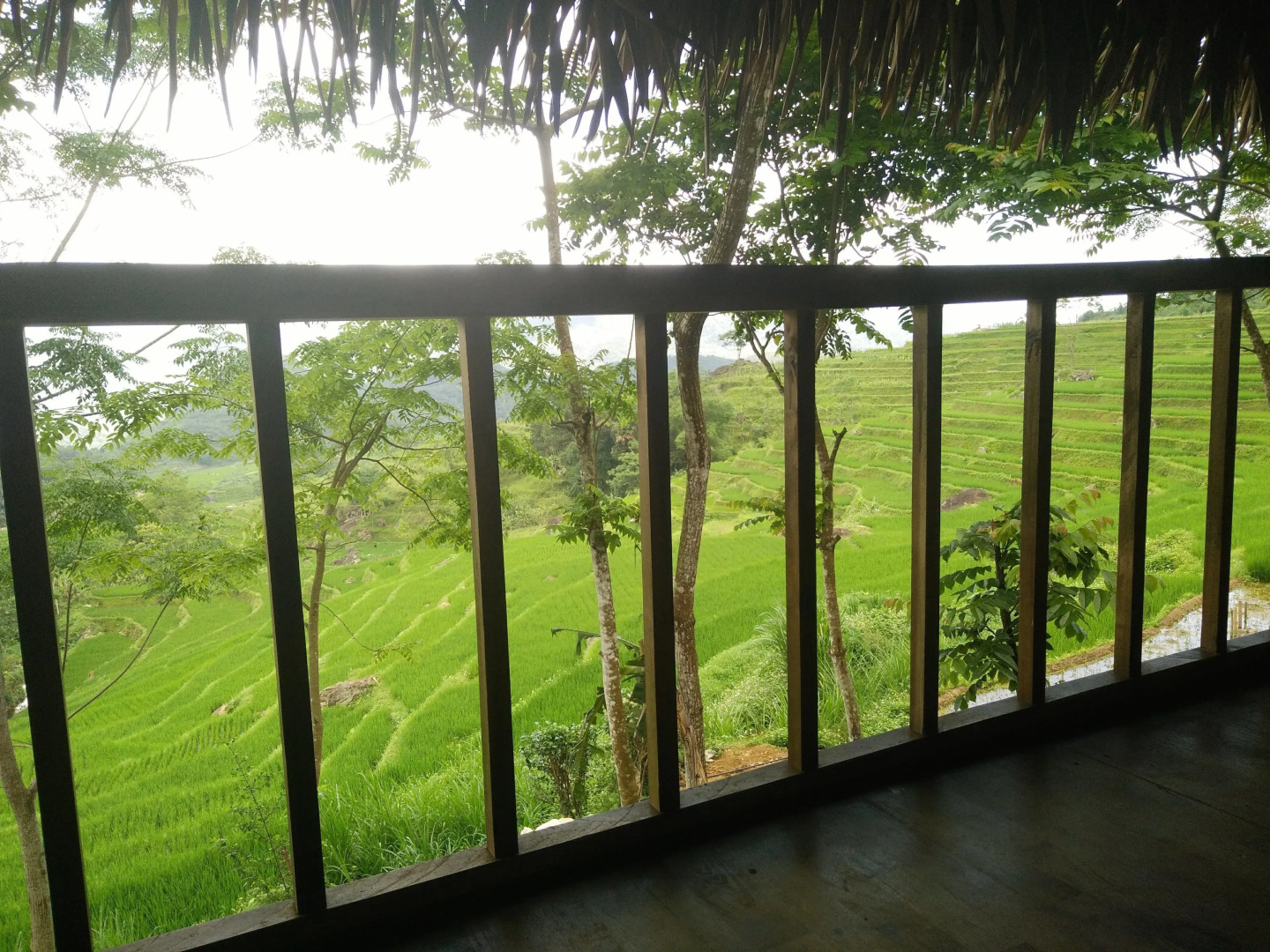 Puluong Home - Hostel
