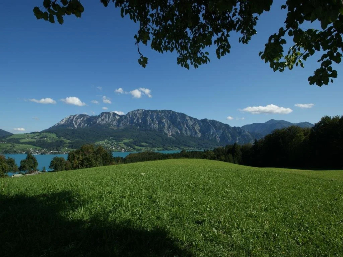 Bauernhof Familie Nussbaumer