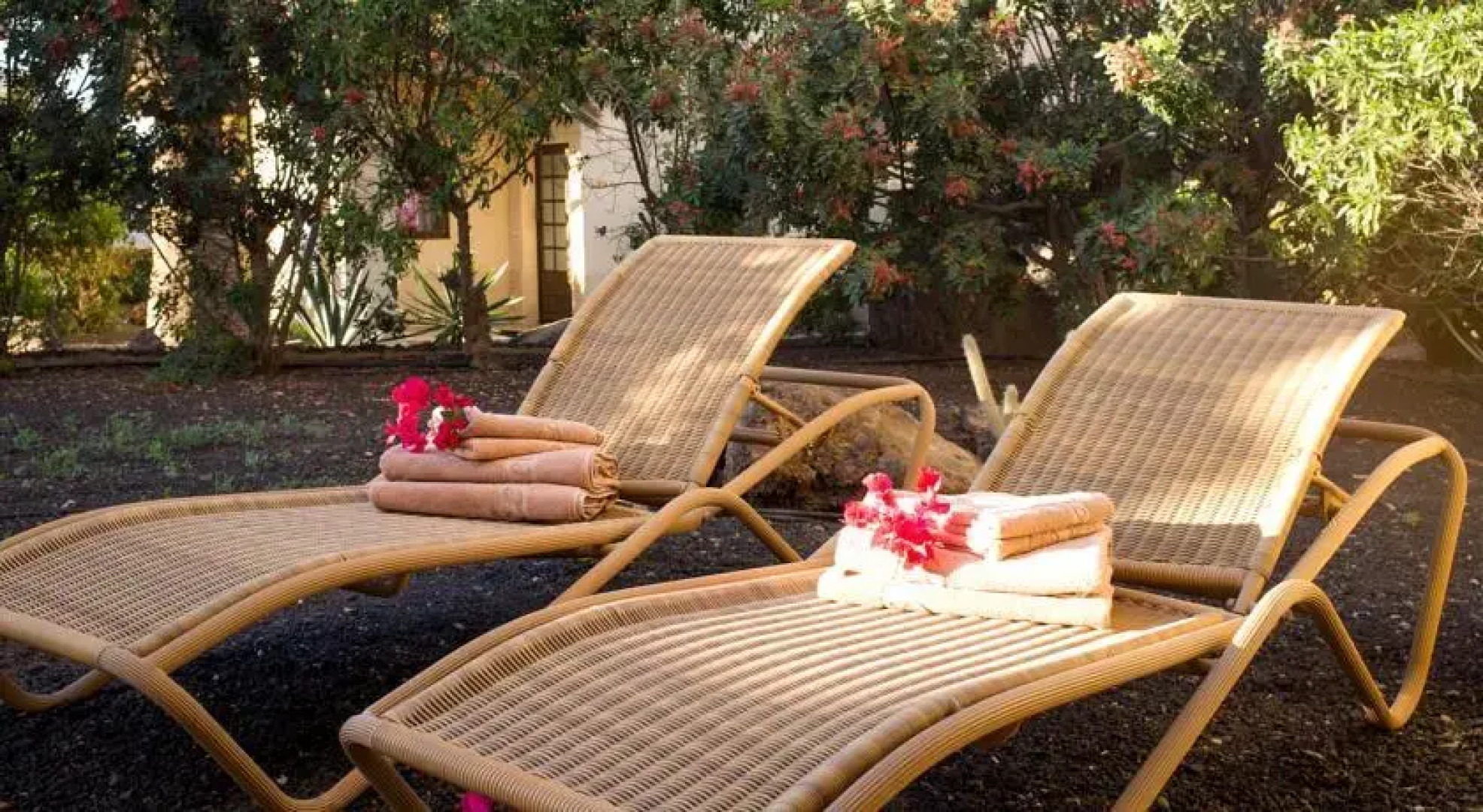 Bungalows Costa Real