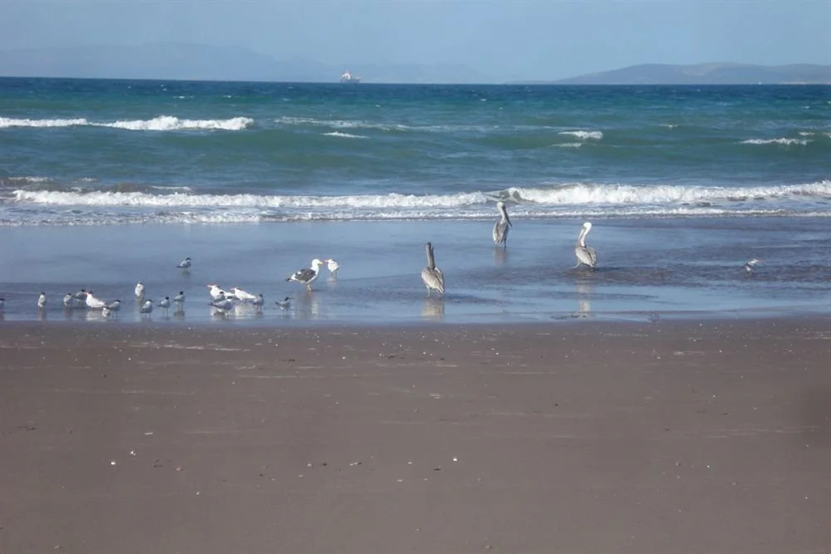Paraiso Del Mar by Casago