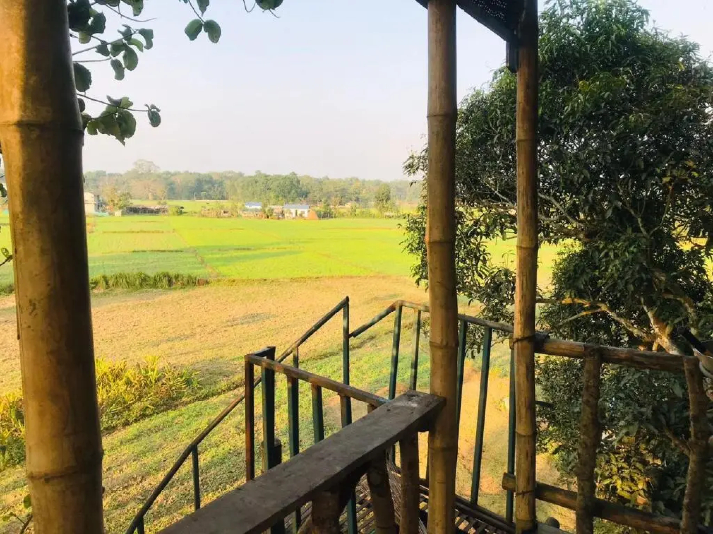 Evergreen Ecolodge