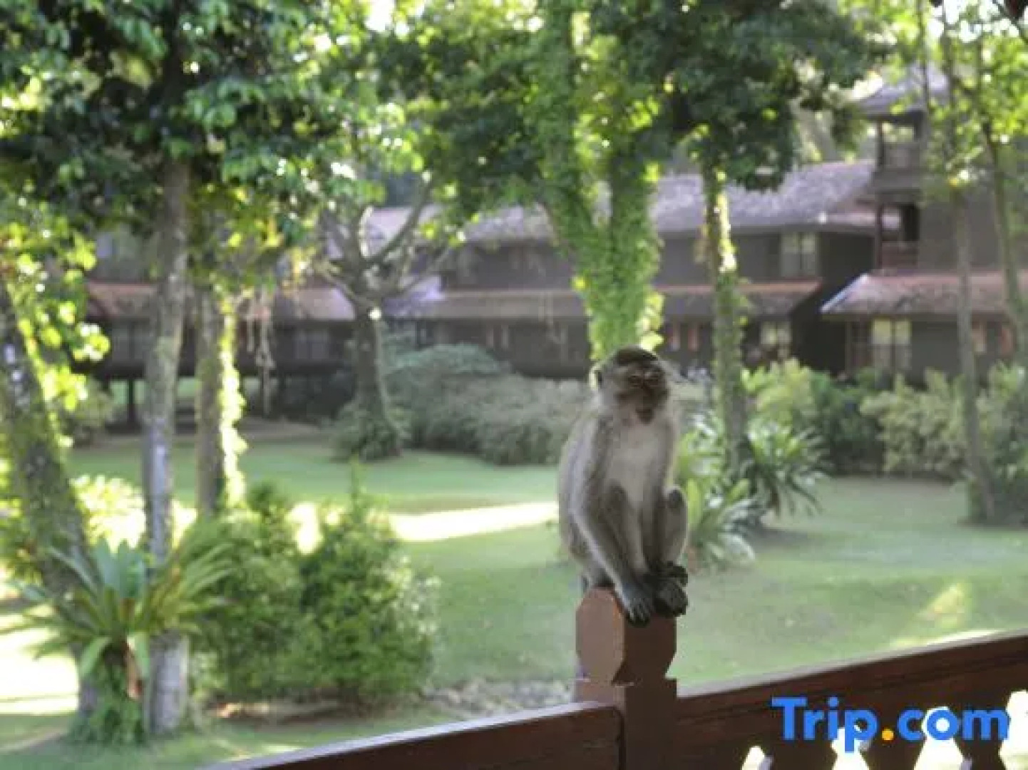 Club Med Cherating Beach