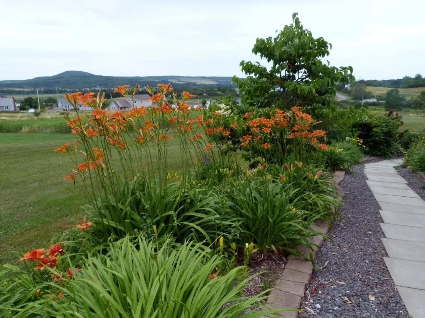 Rose and Thistle Bed and Breakfast