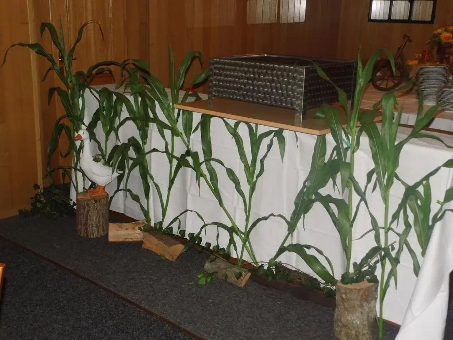 Hotel Zum Lütten Didi