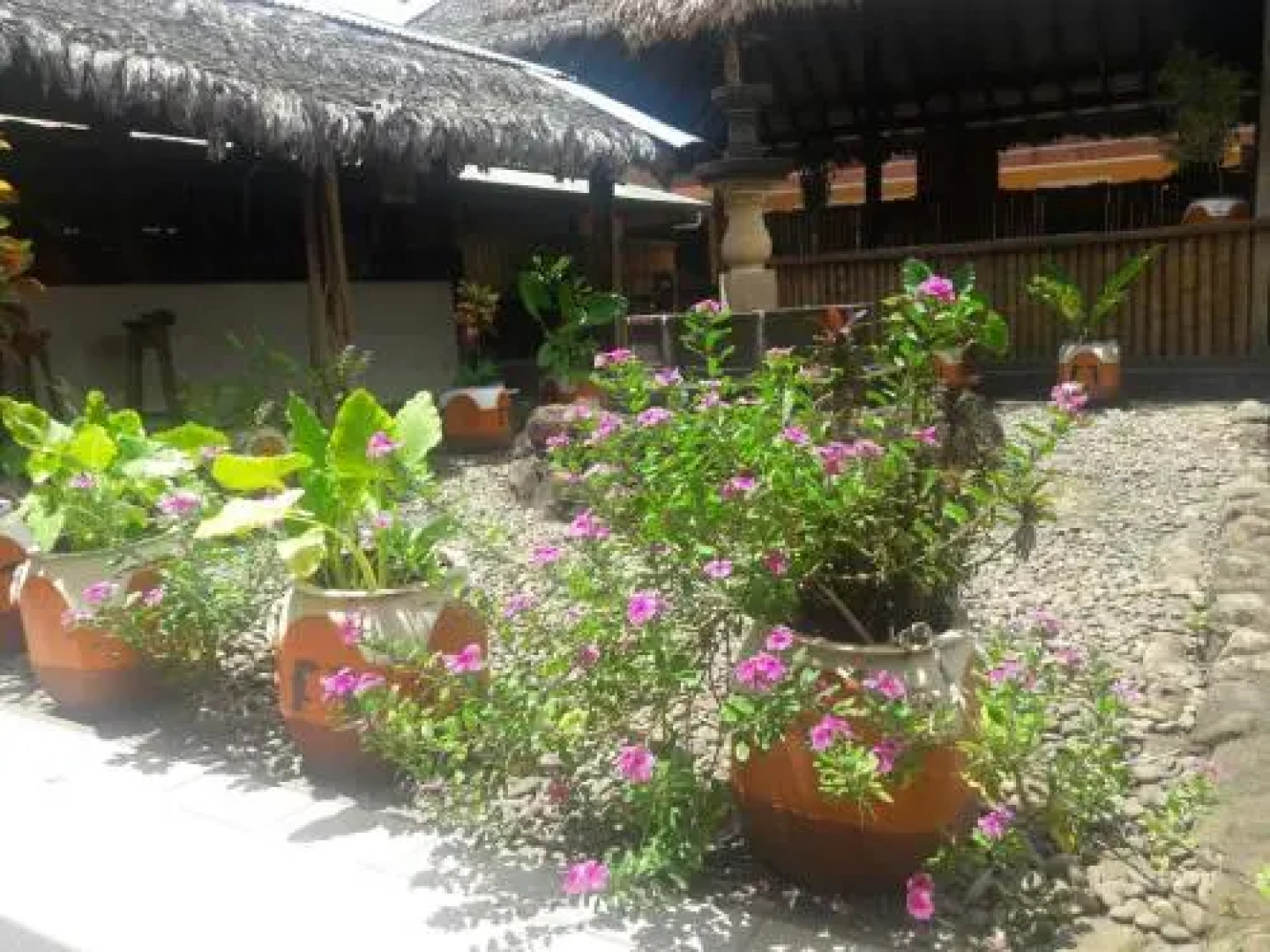 Los Tucanes De Rurre