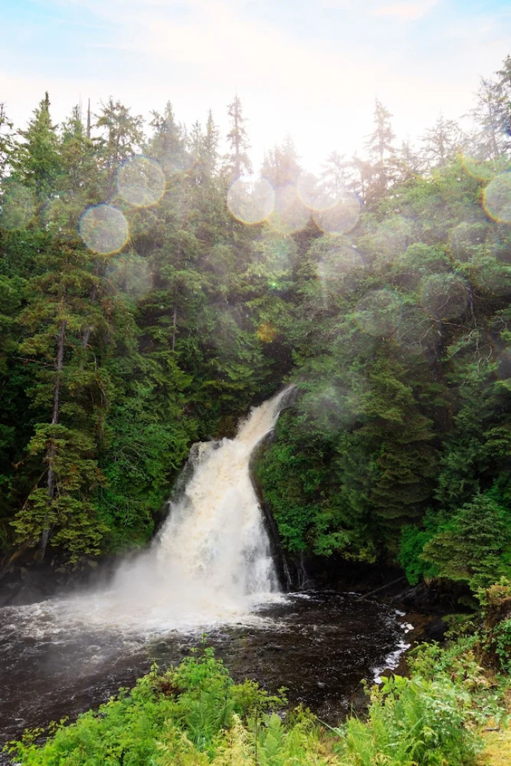 Salmon Falls Resort