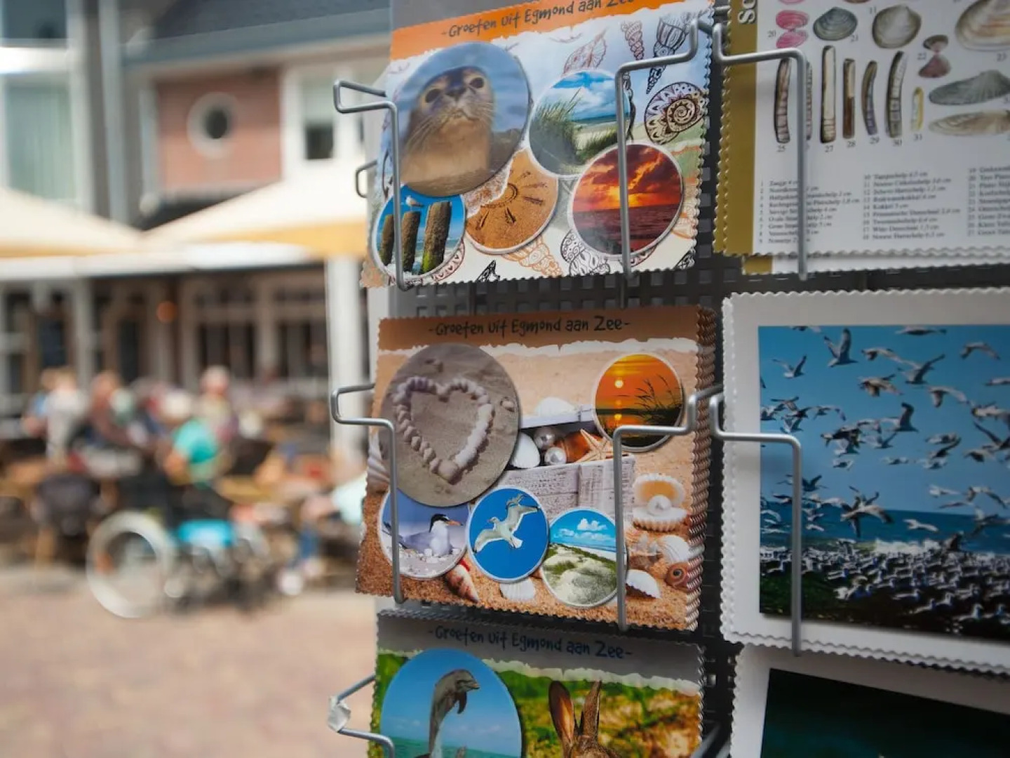 Home in Egmond aan den Hoef