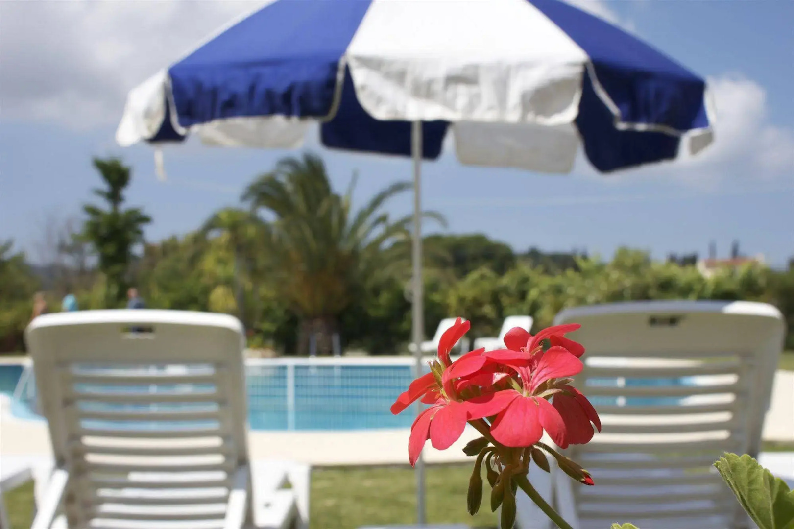 Chrysanthy Apartments