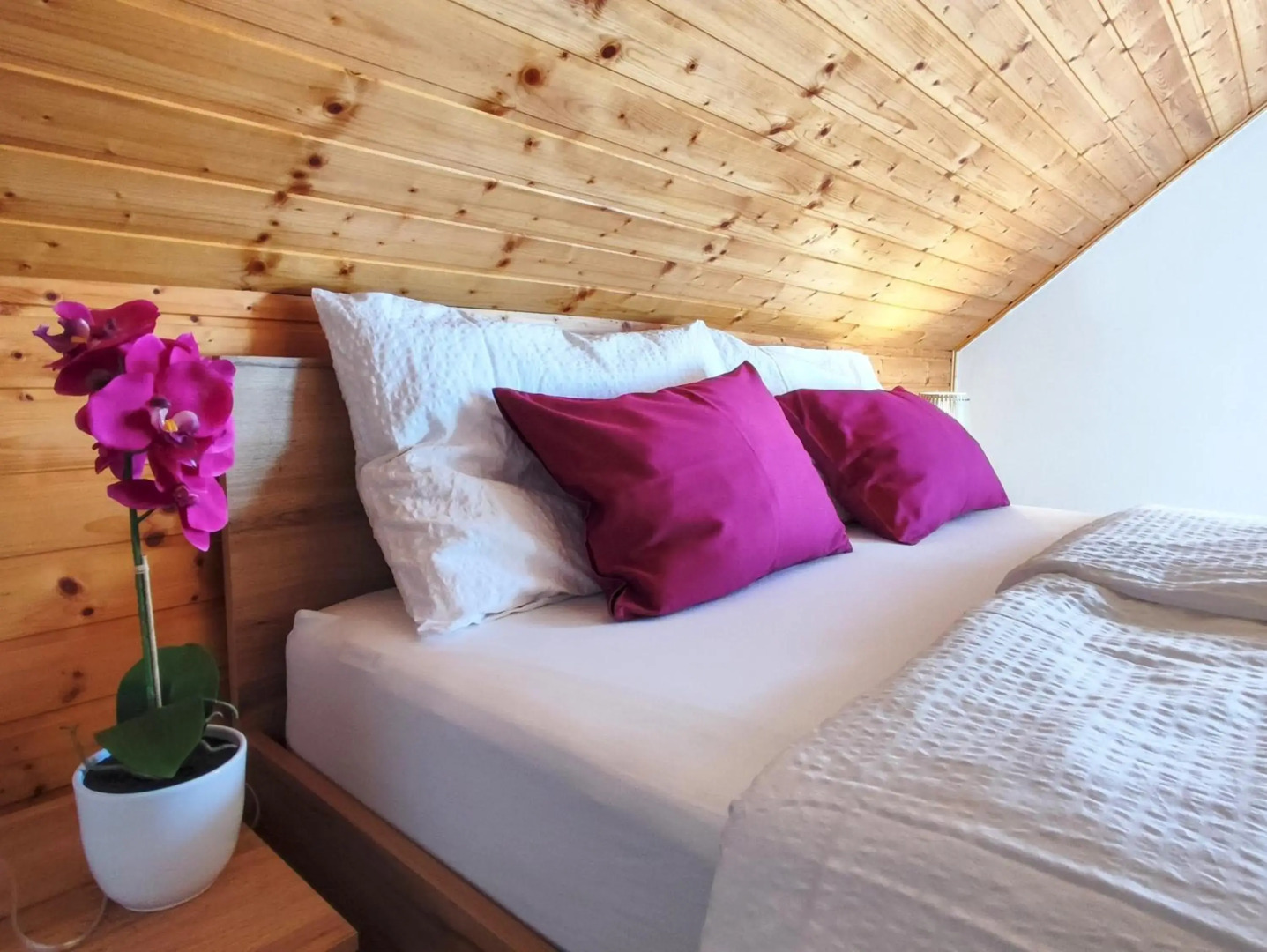 Sweet Stay Forest House