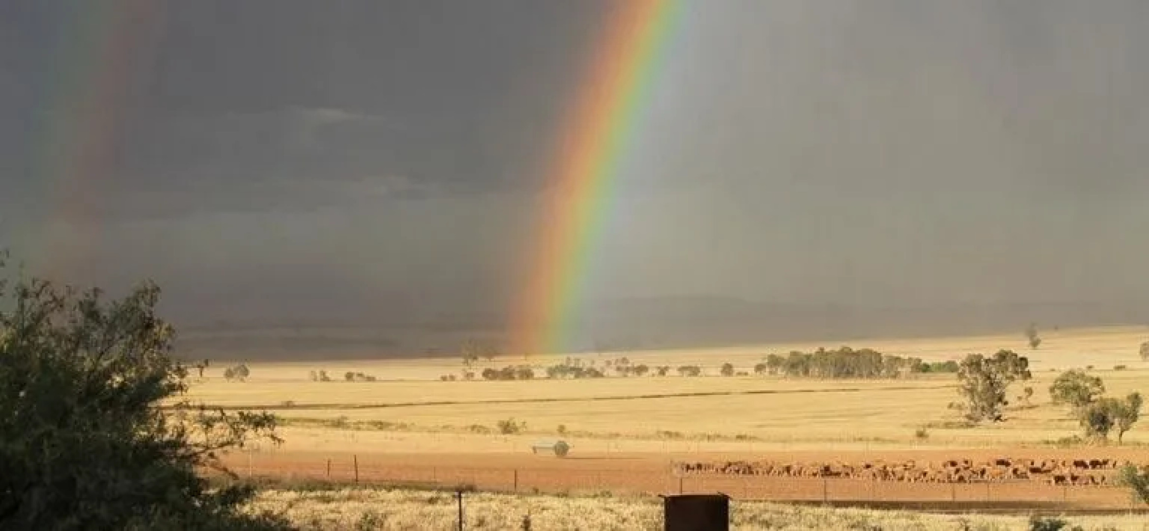 Booleroo View Bed and Breakfast