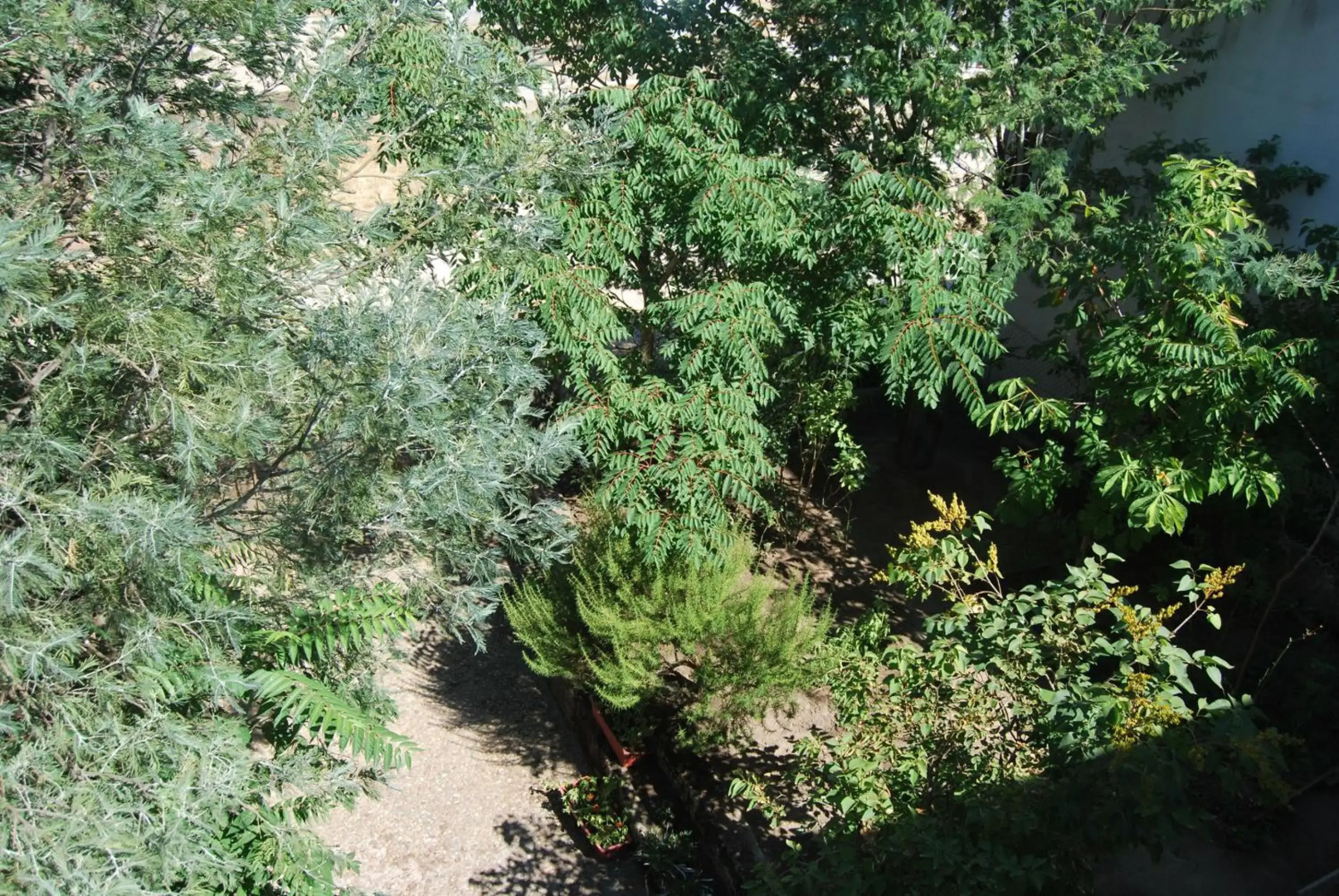 Casa rural Puente Mocho