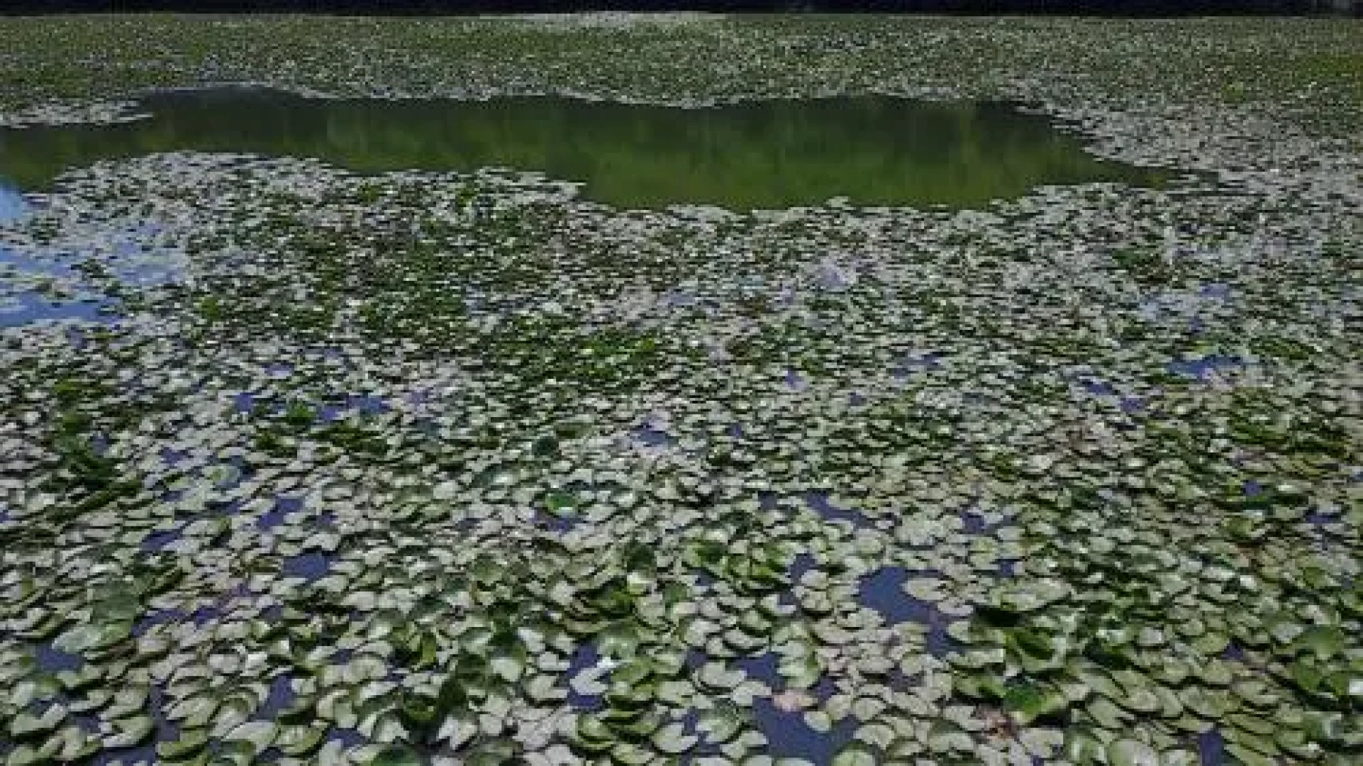 Pelican Lake Guesthouse