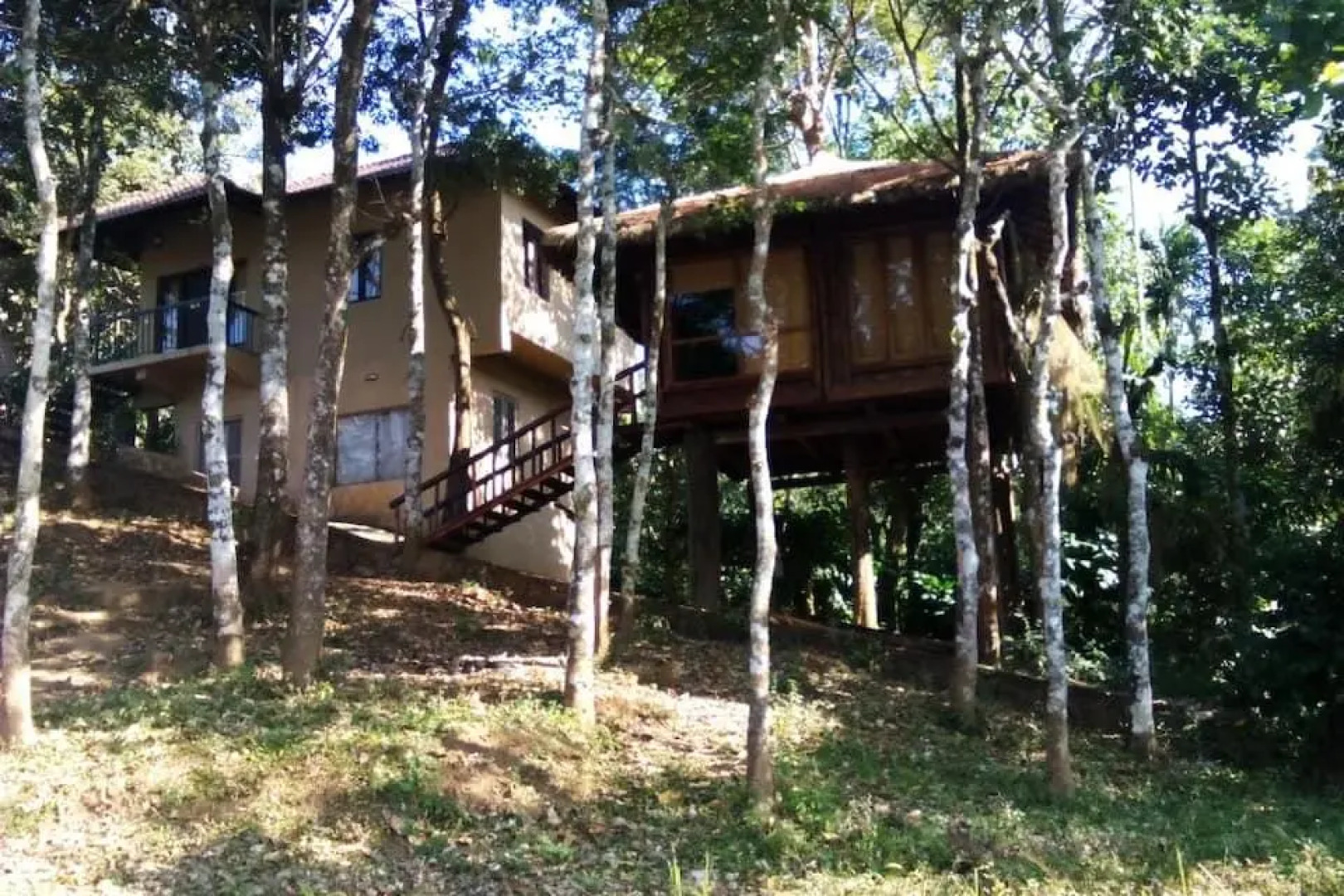 Rippon Mount Resorts