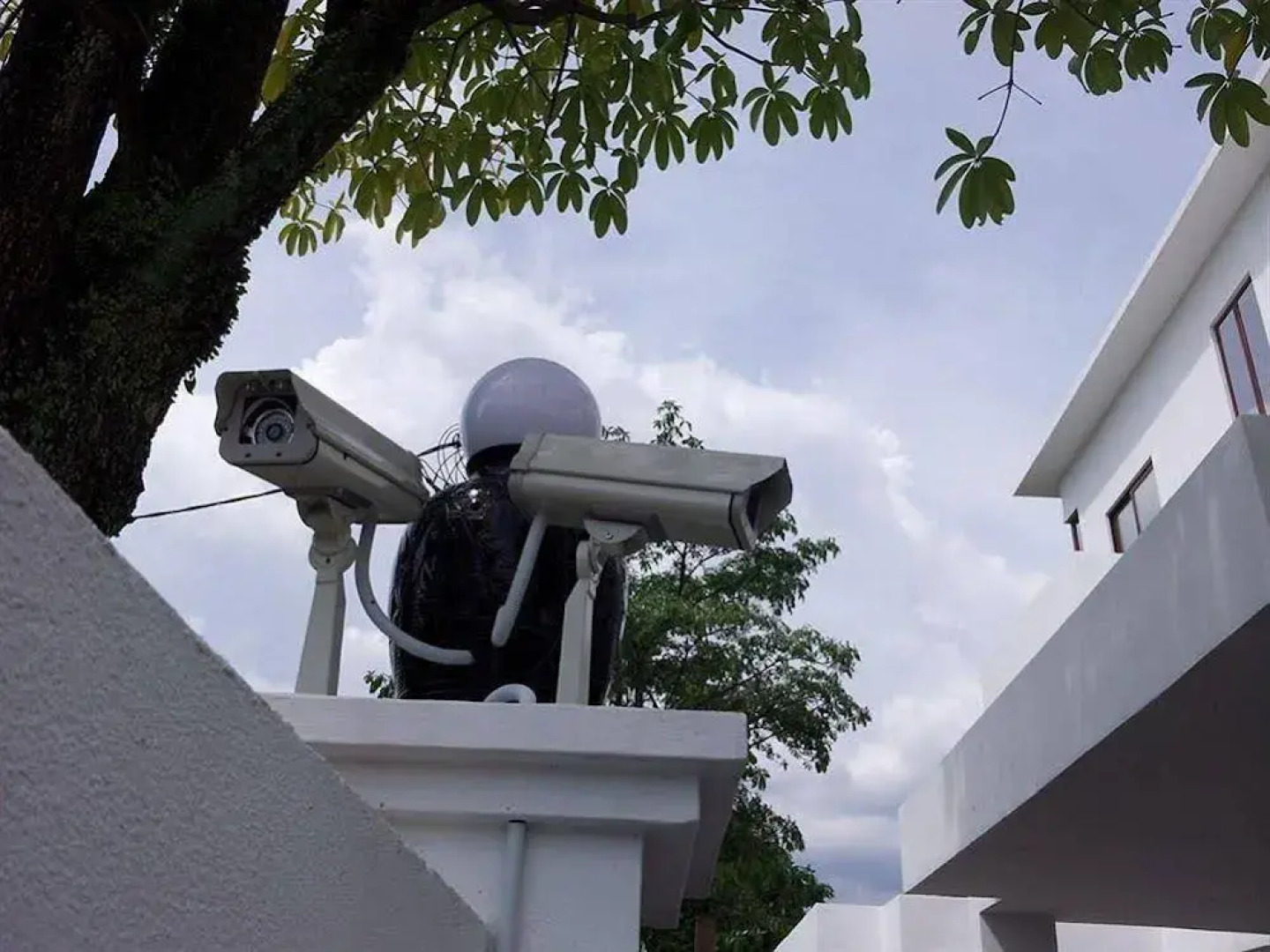 White House Homestay