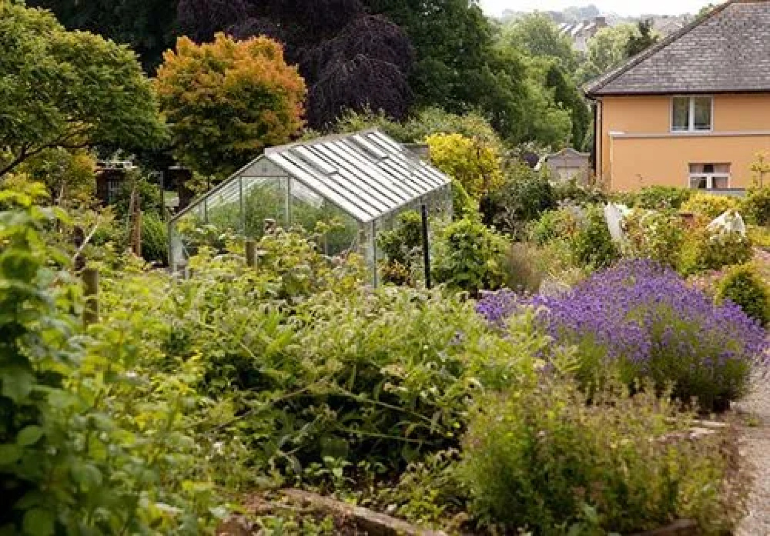 The Mustard Seed at Echo Lodge