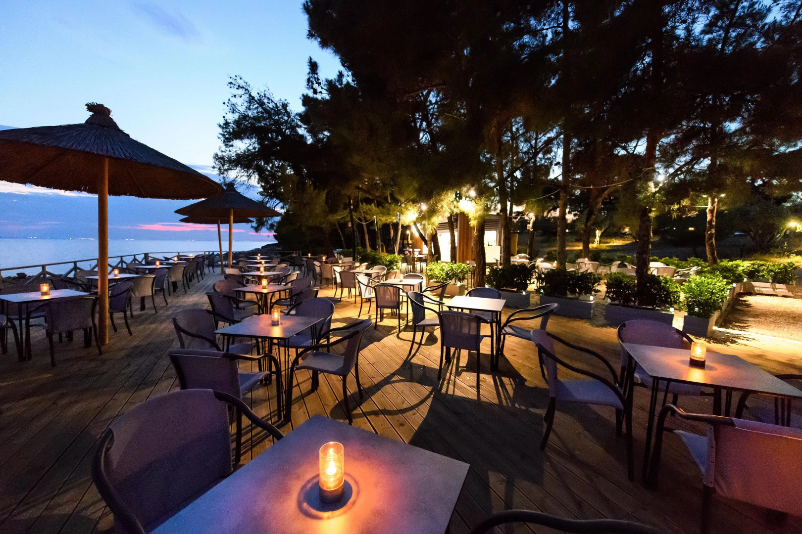 Blue Dolphin Resort Hotel