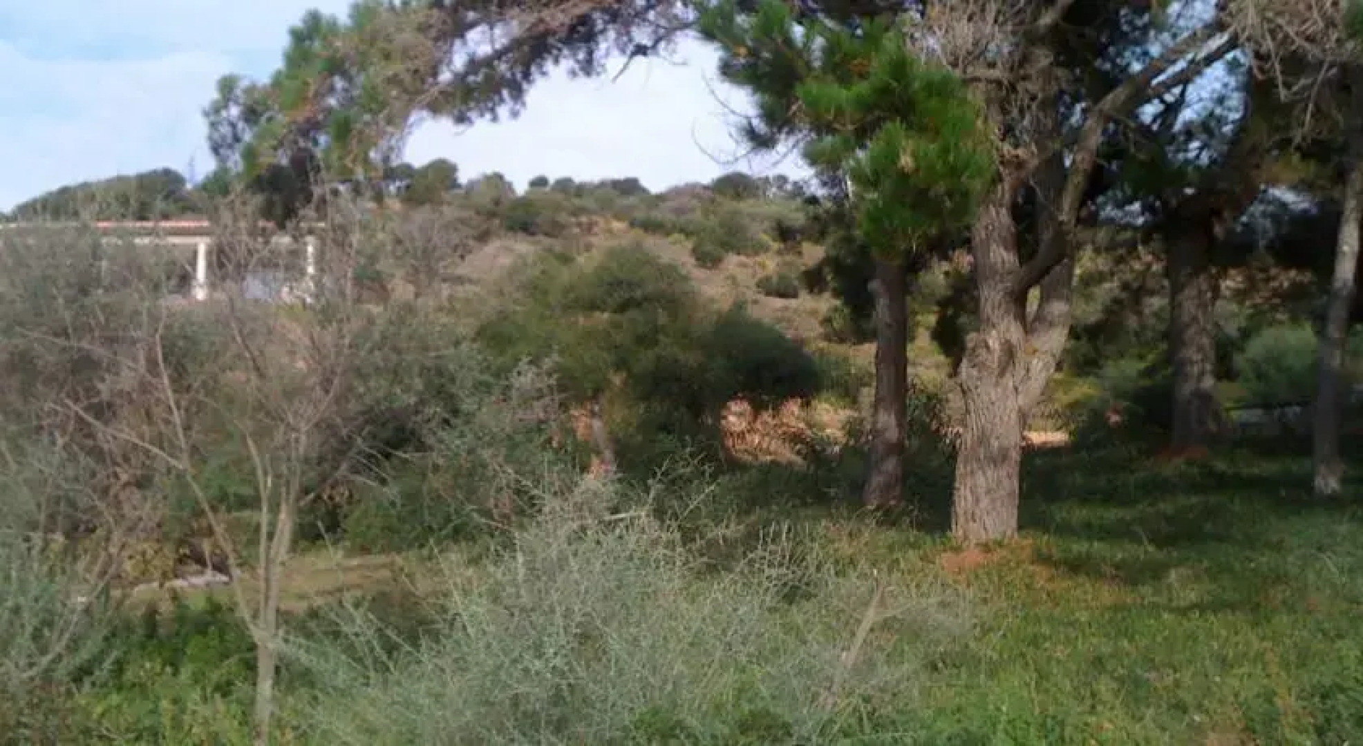Gite Rural à Bisinao