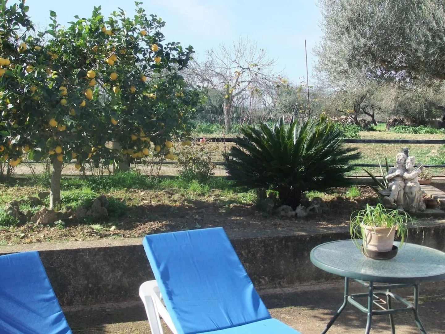 Finca Son Rossinyol