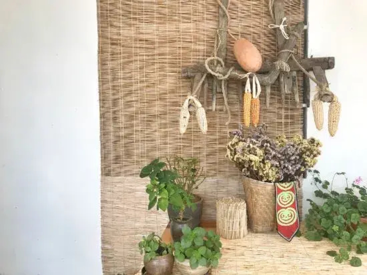 A place to watch the sunrise over the sea of clouds and terraces