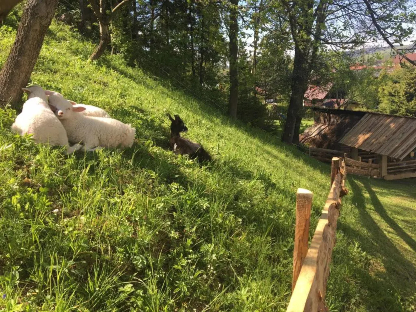 Chata Penzión Škerda