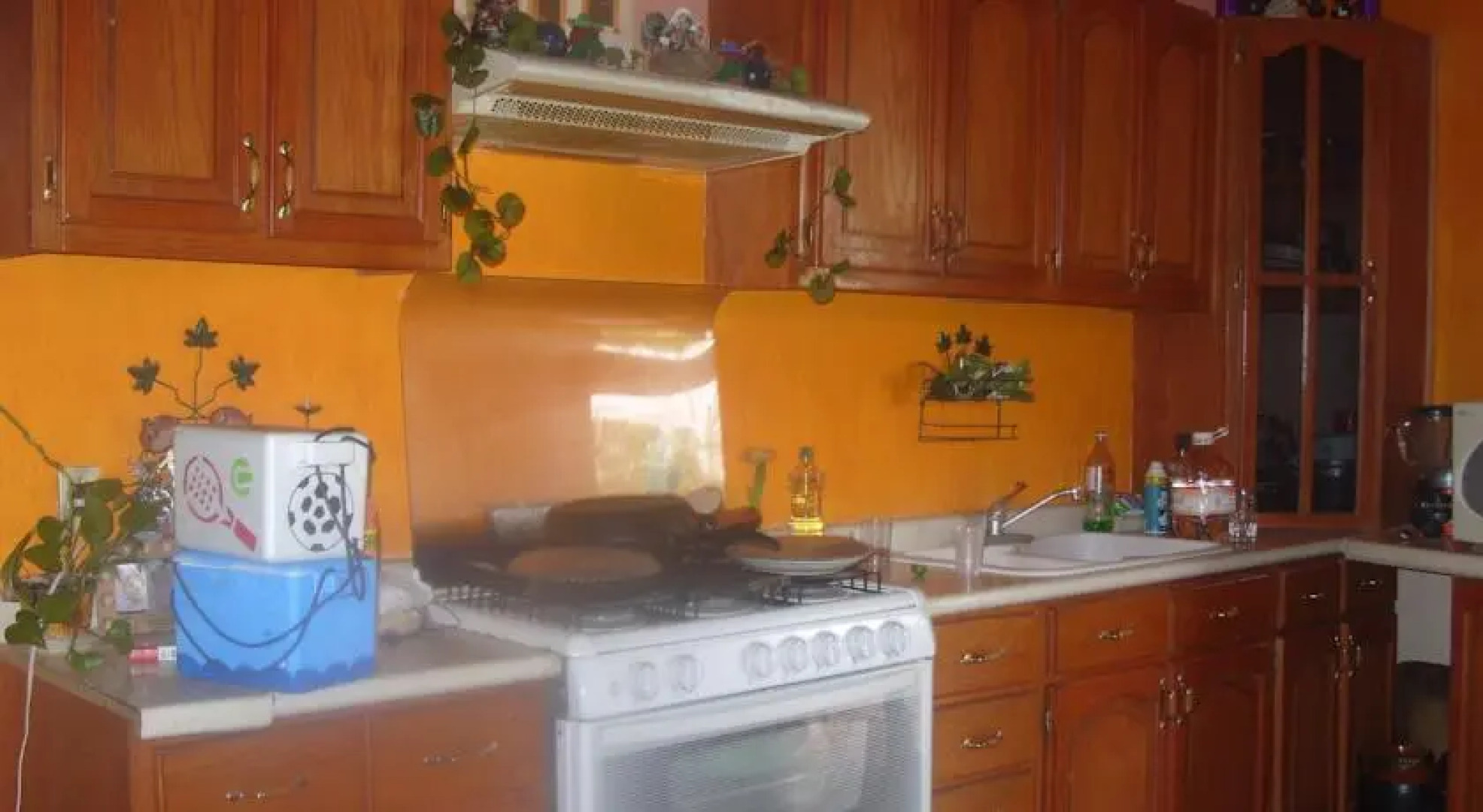 Quinta Las Margaritas