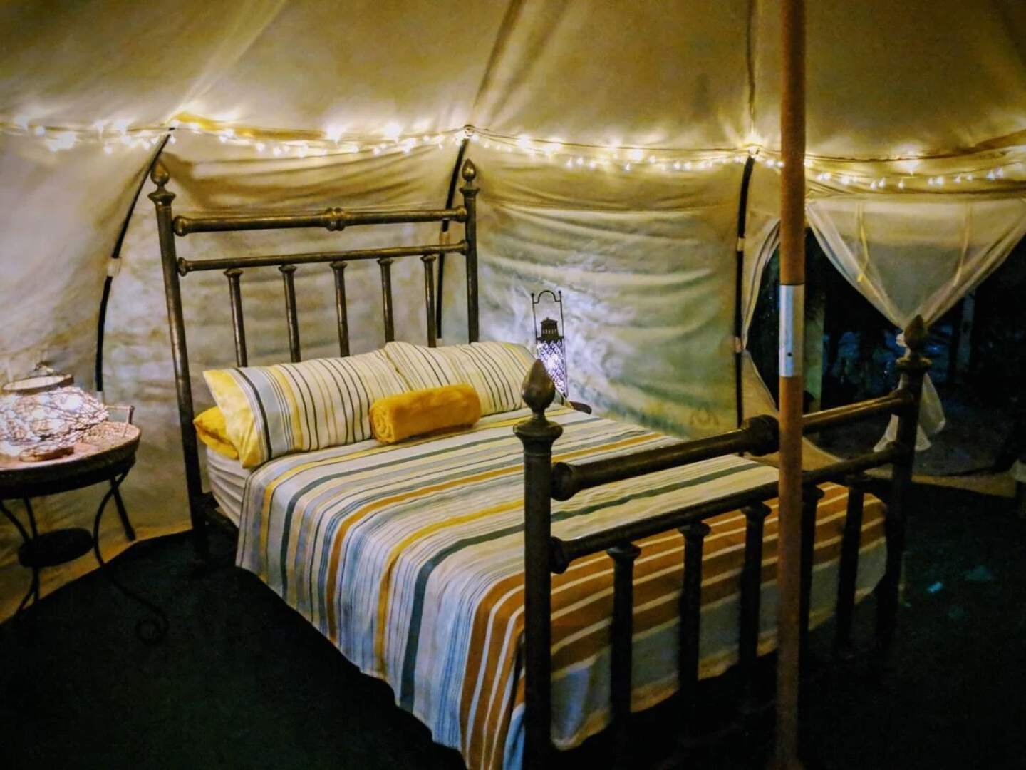 Wild Lotus Camp