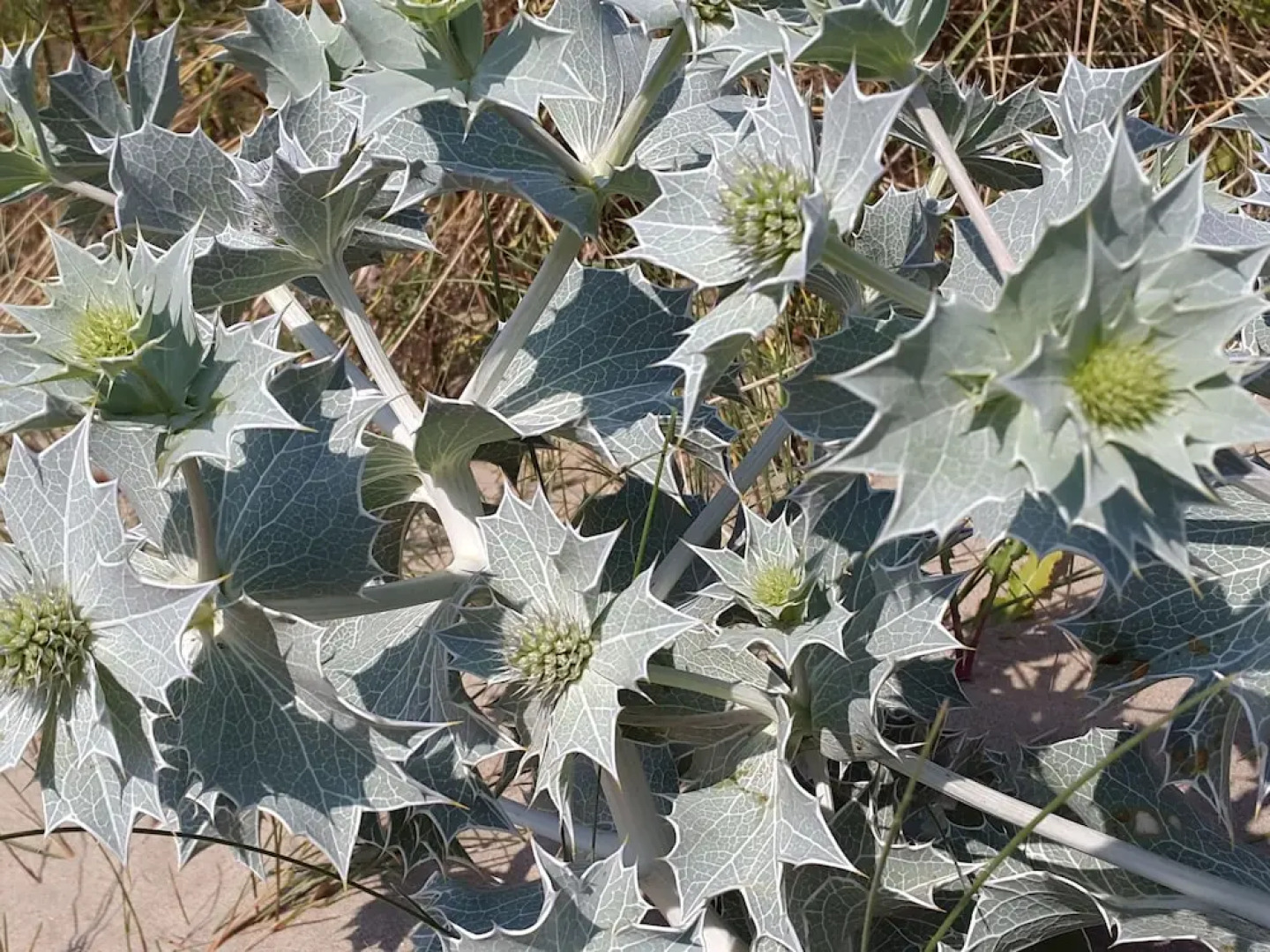 Serene Holiday Home in Noordwijk With Terrace