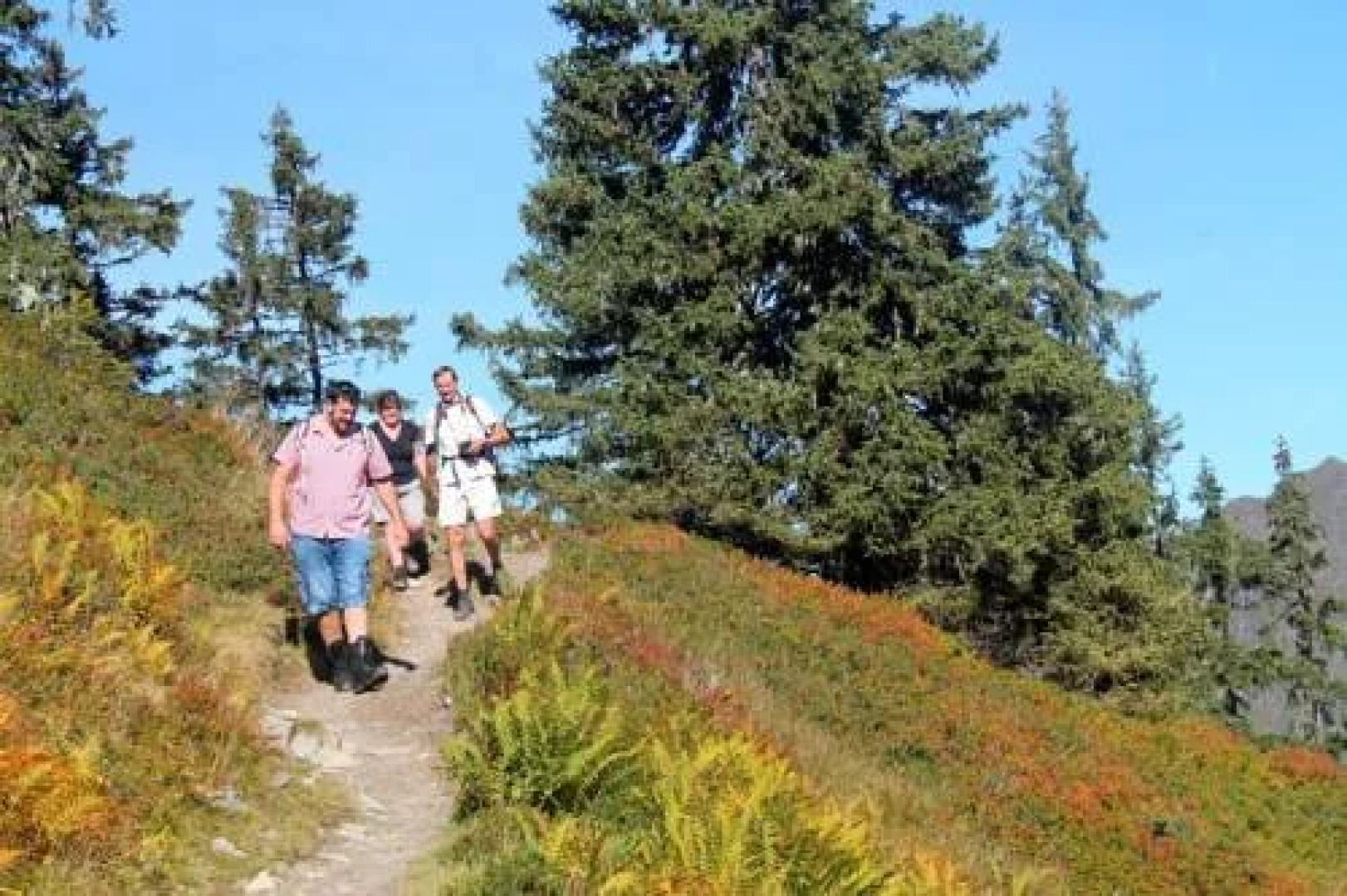 Hotel/Chalet Stoefelknoeg