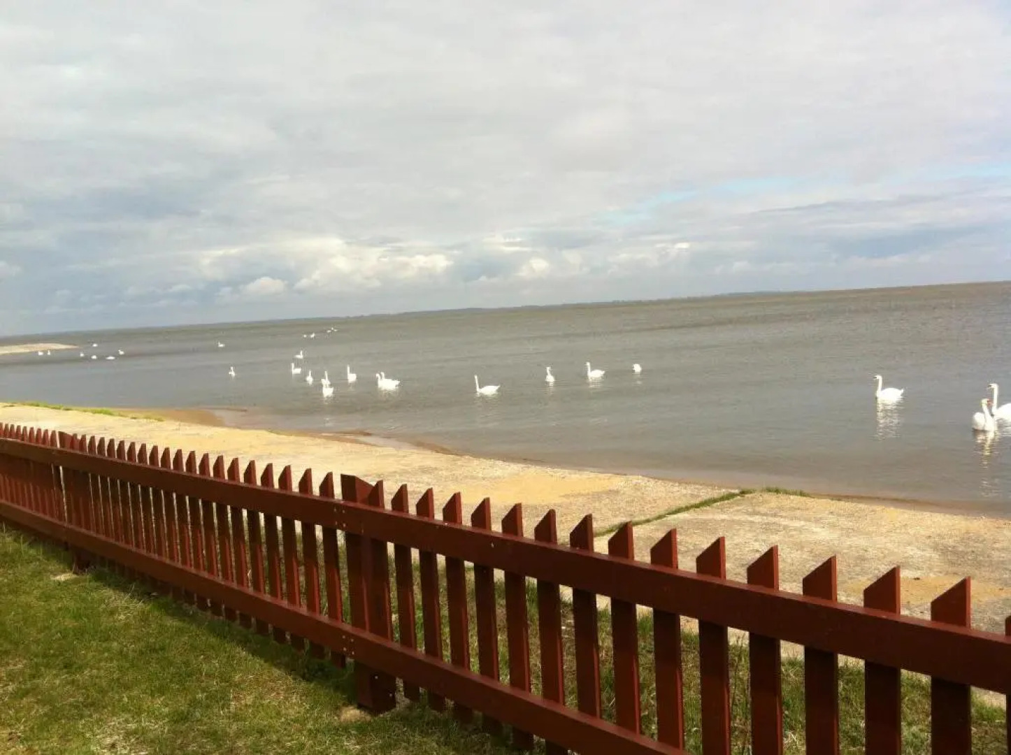 Stunning apartment with terrace