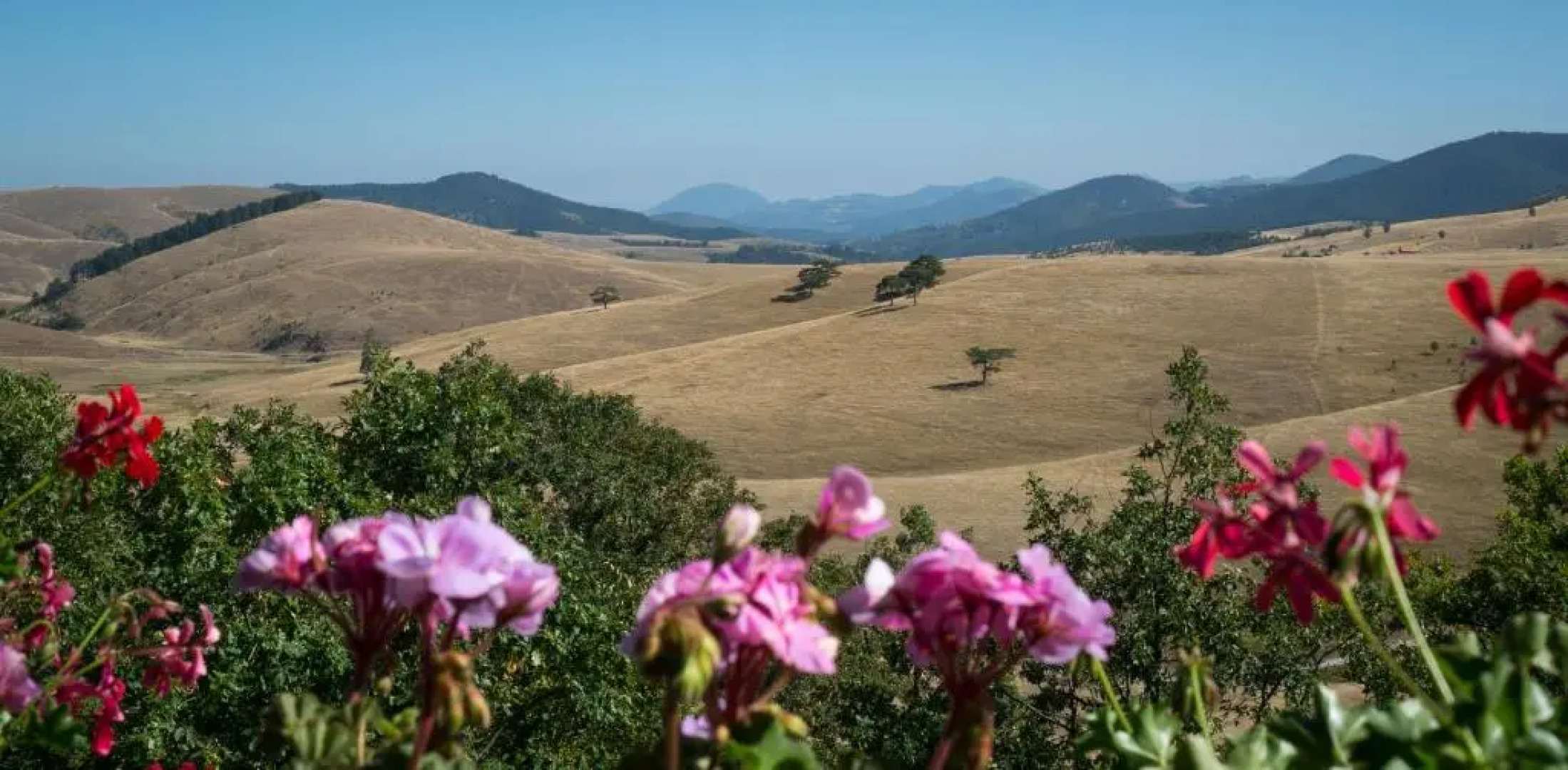 Guest House Vila Djokic