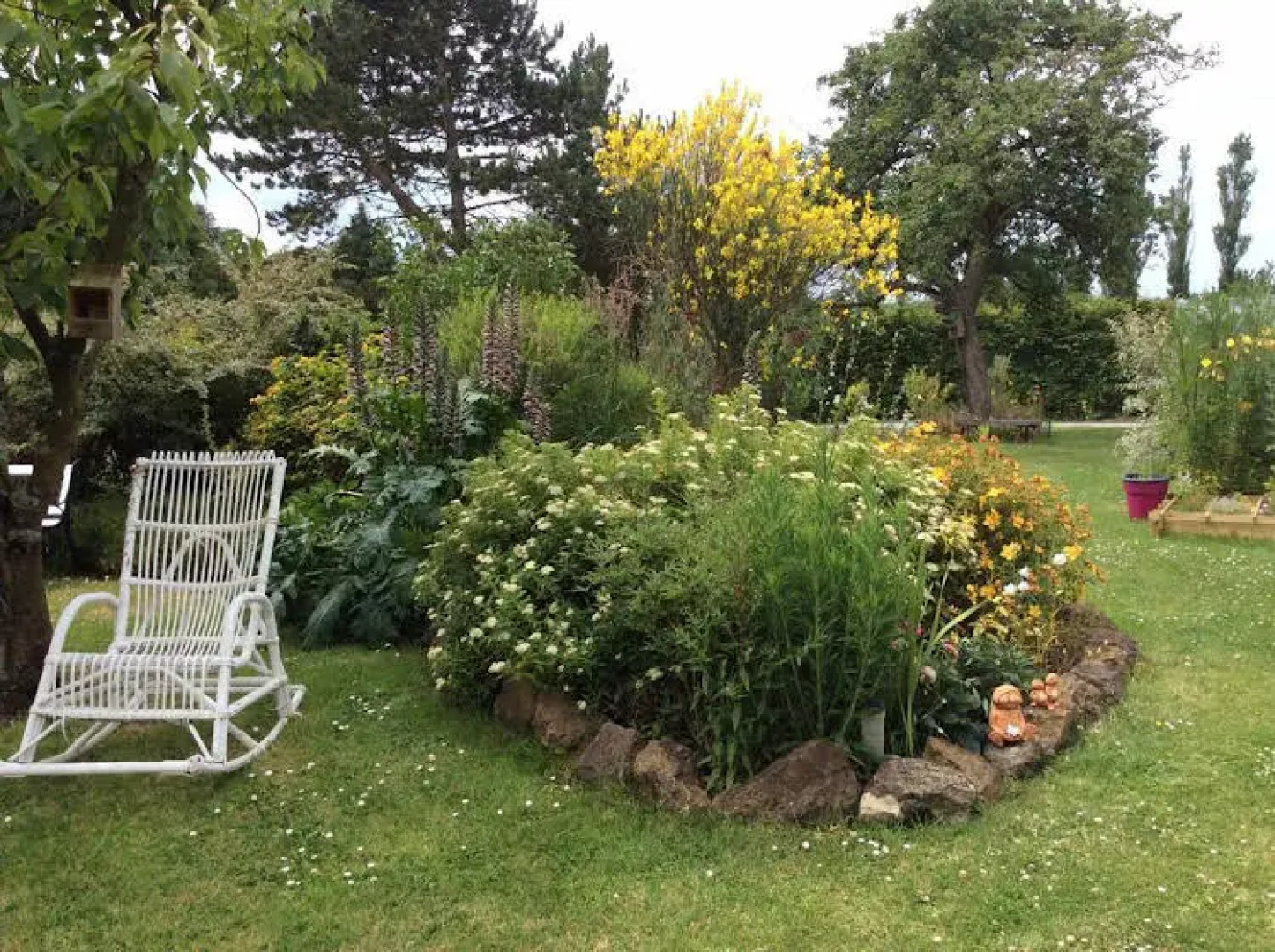 La Glycine du Boulonnais