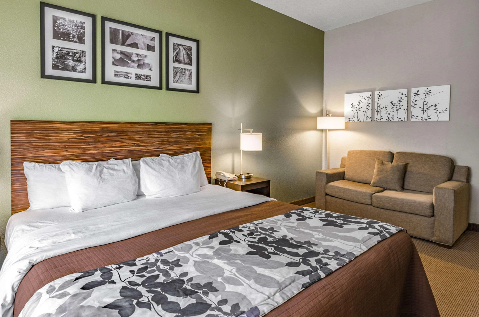 Sleep Inn Boone University Area