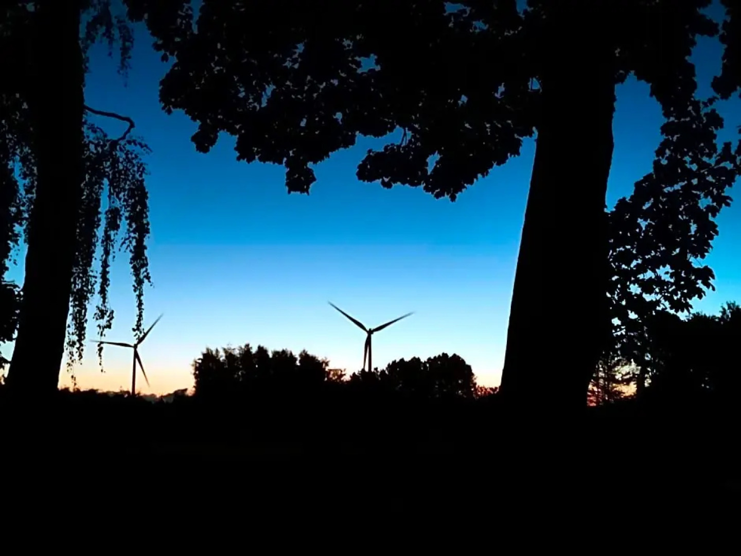 Mikrogaarden shared kitchen&bathroom