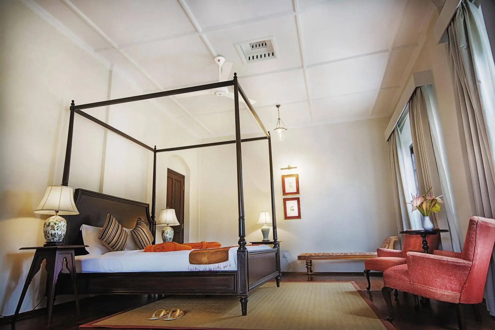 Dickoya by Zinc Journeys