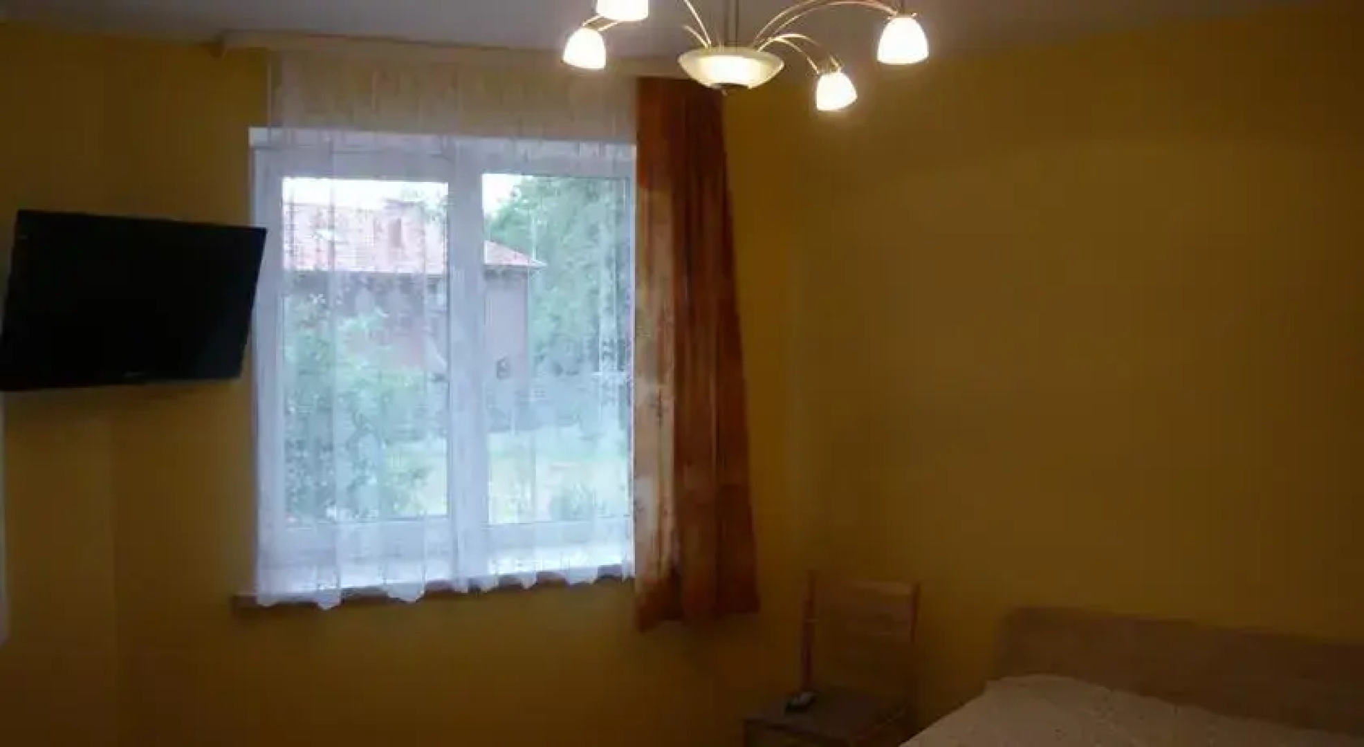 Riešutmedis