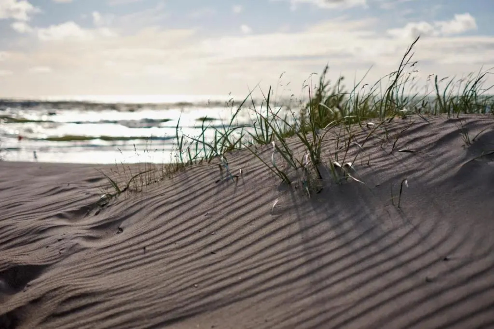 No.1 Apartment in Palanga, Vaivorykštės Apartment