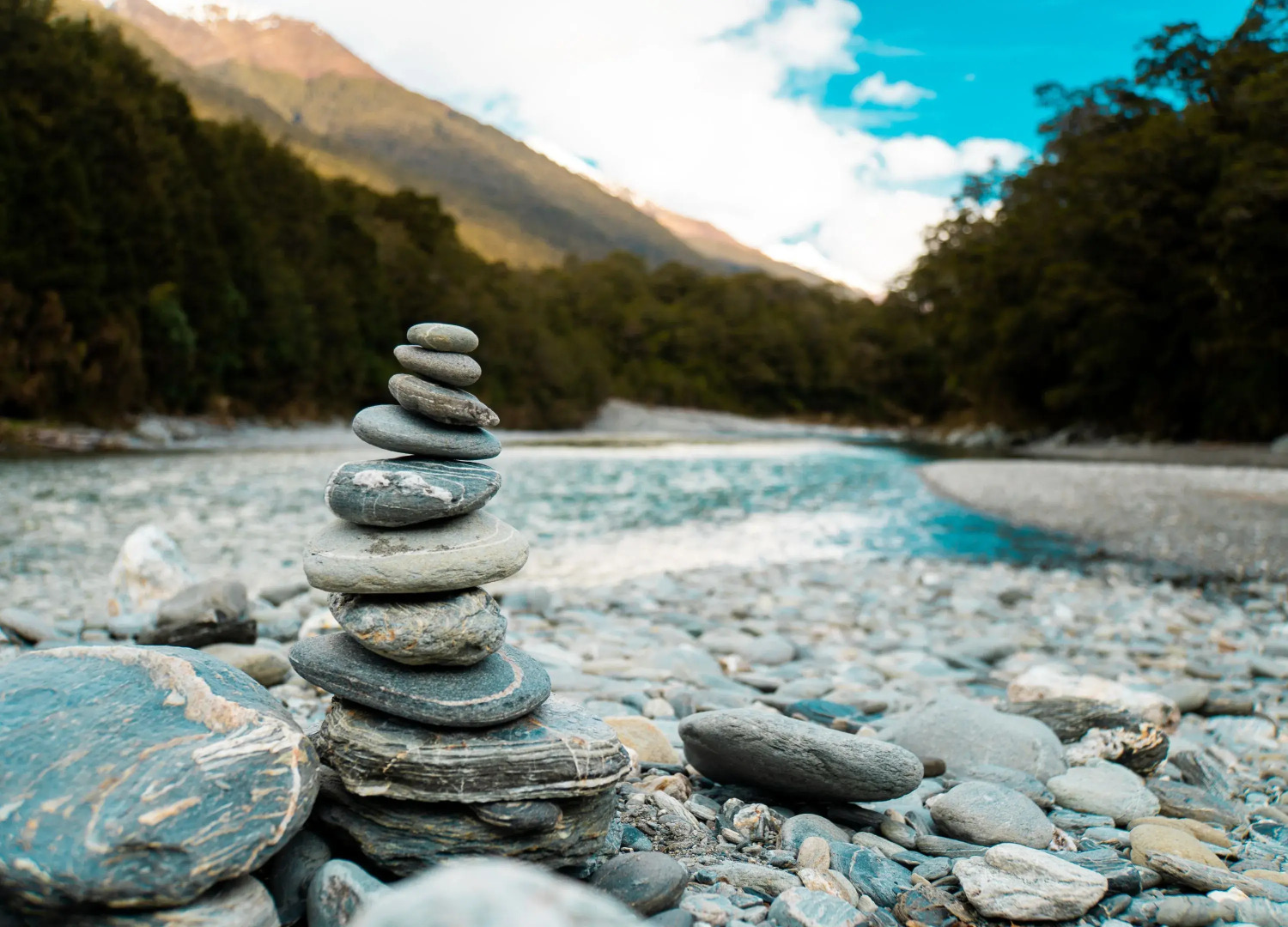 Wonderland Makarora Lodge