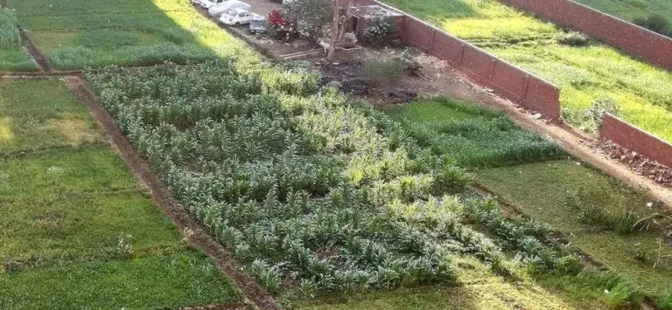 Maadi Star Apartment