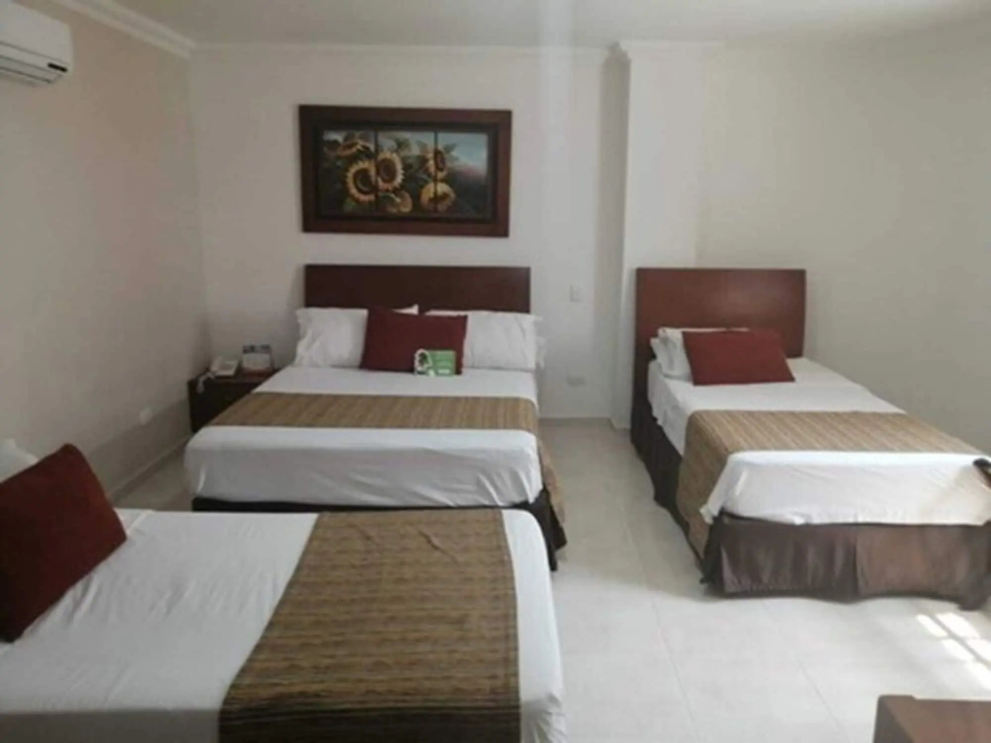 Hotel Buena Vista Express