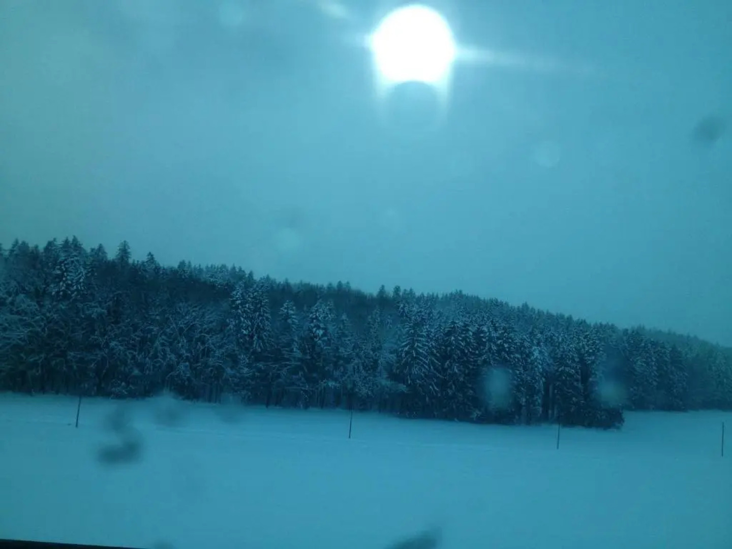 Pia's Nature Retreat