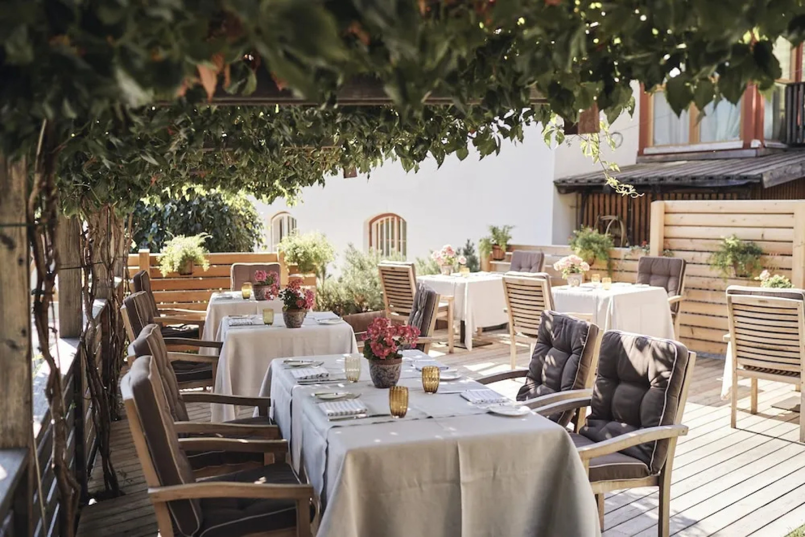 Goldene Rose Karthaus