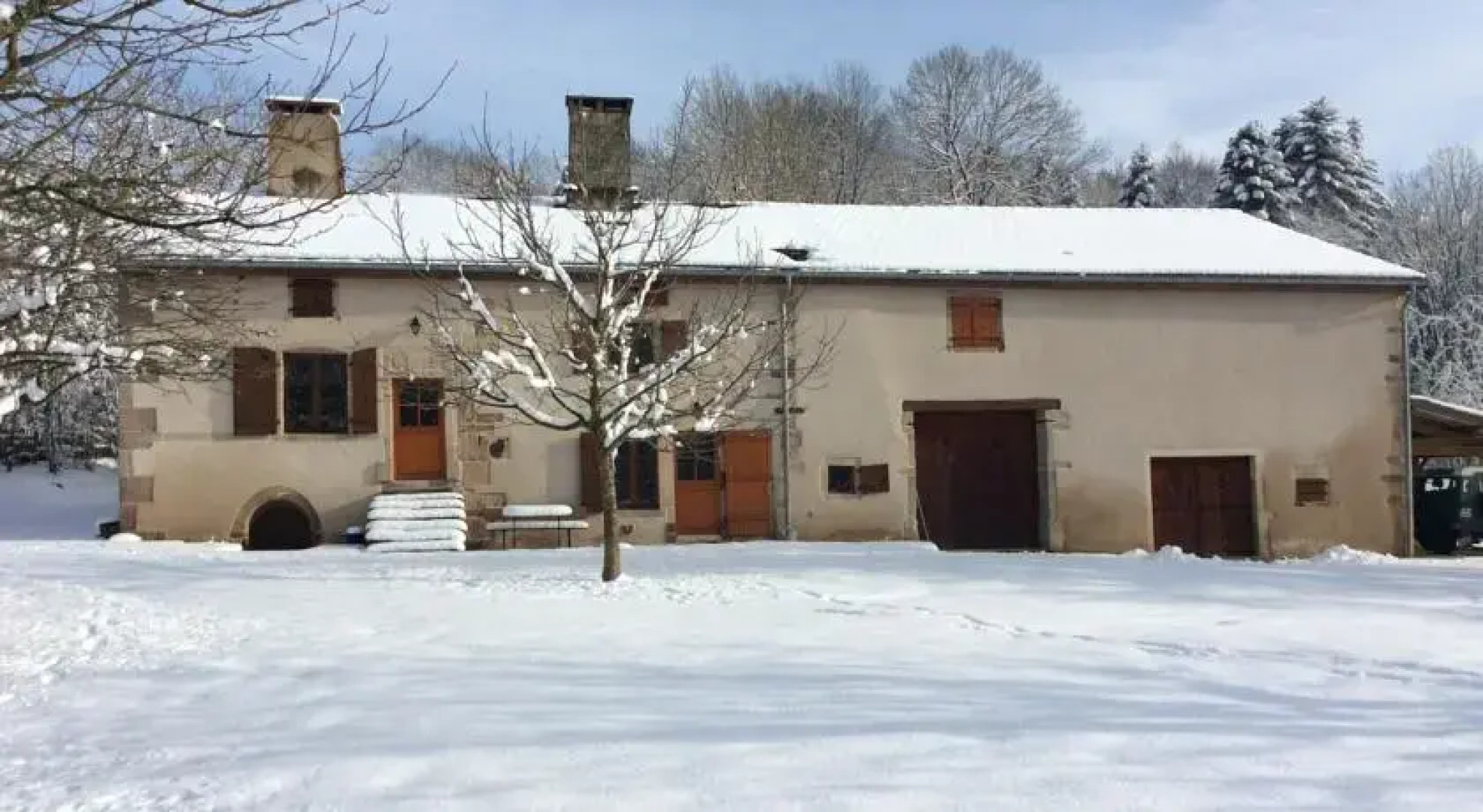 Le Fuligule Morillon