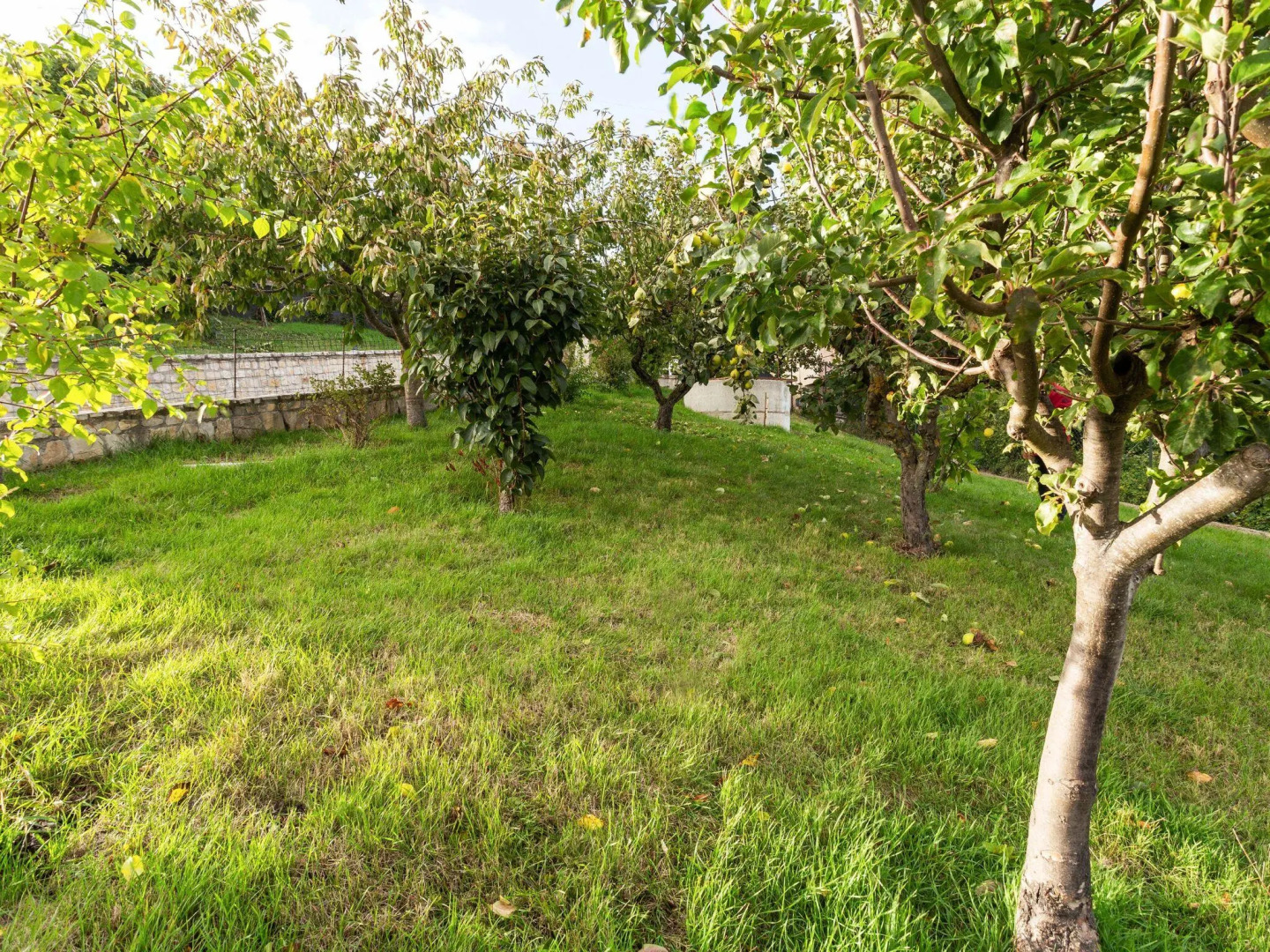 Belvilla by OYO Becampobasso apt Blue