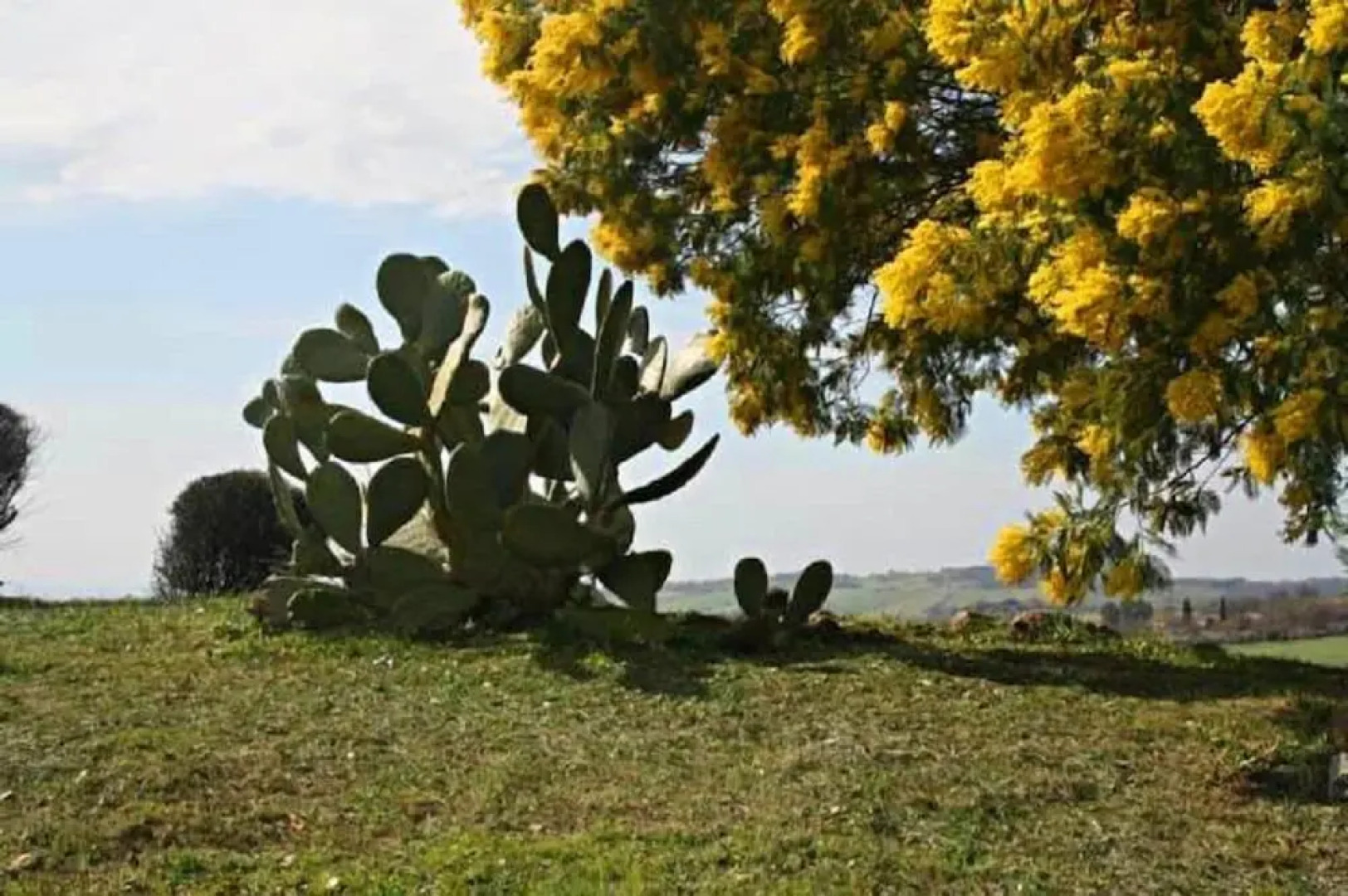 Agriturismo Verdicchio