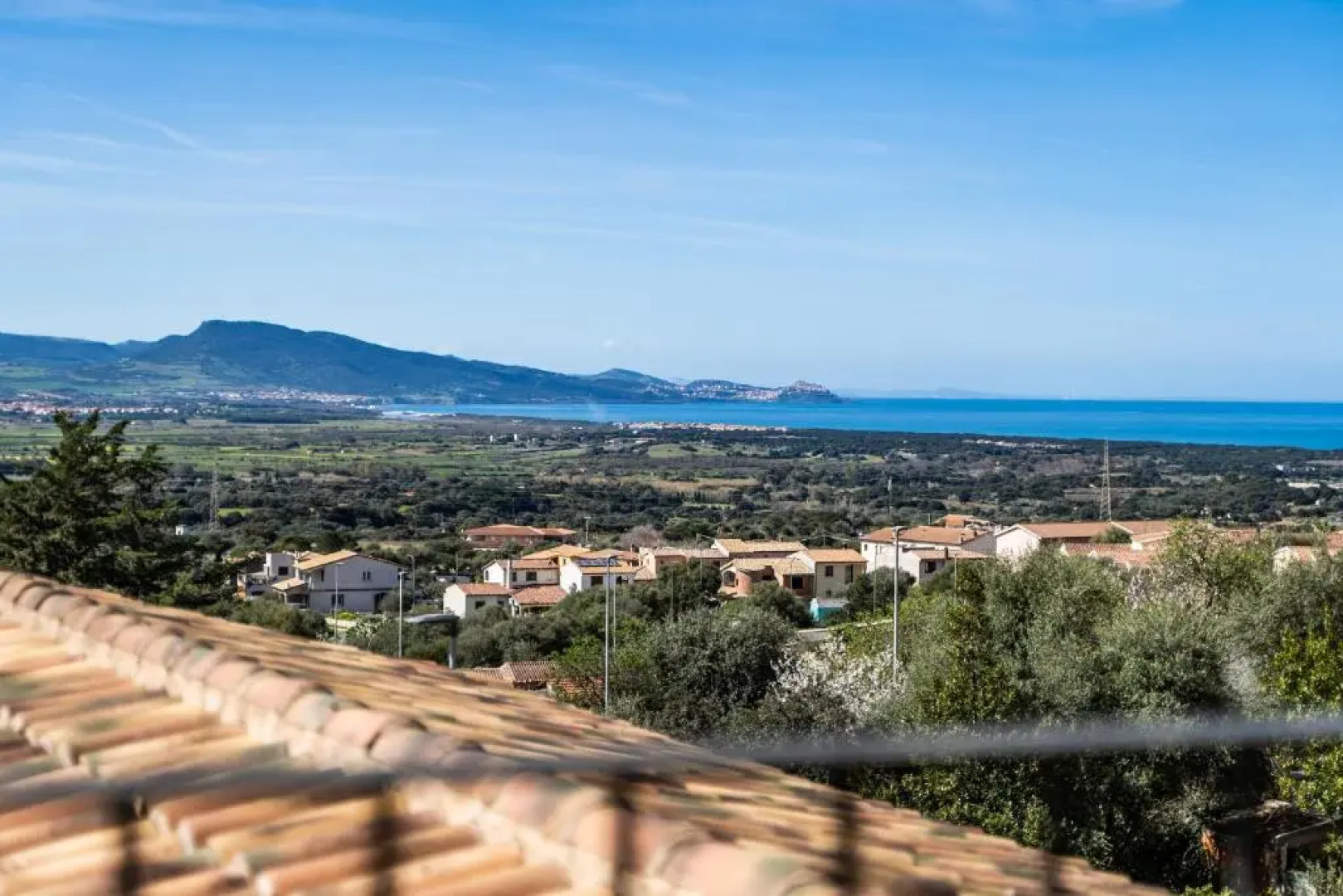 Welcomely - Dei Mille - La vigna 3