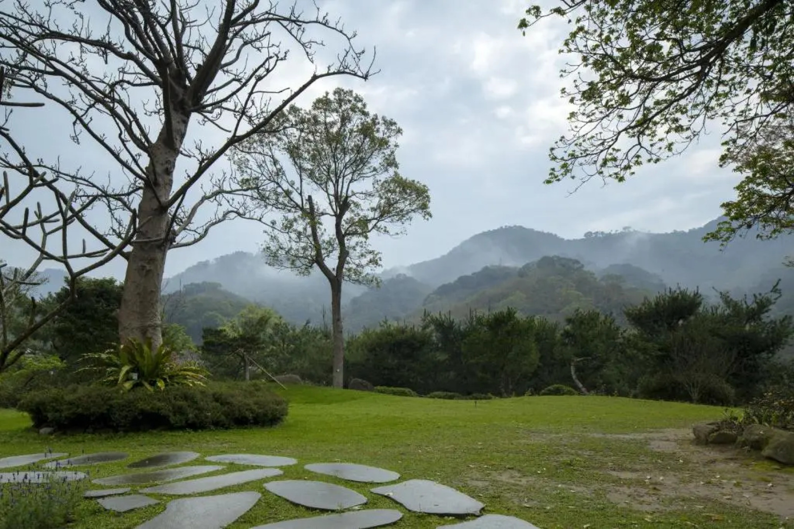 Around The Tree Manor