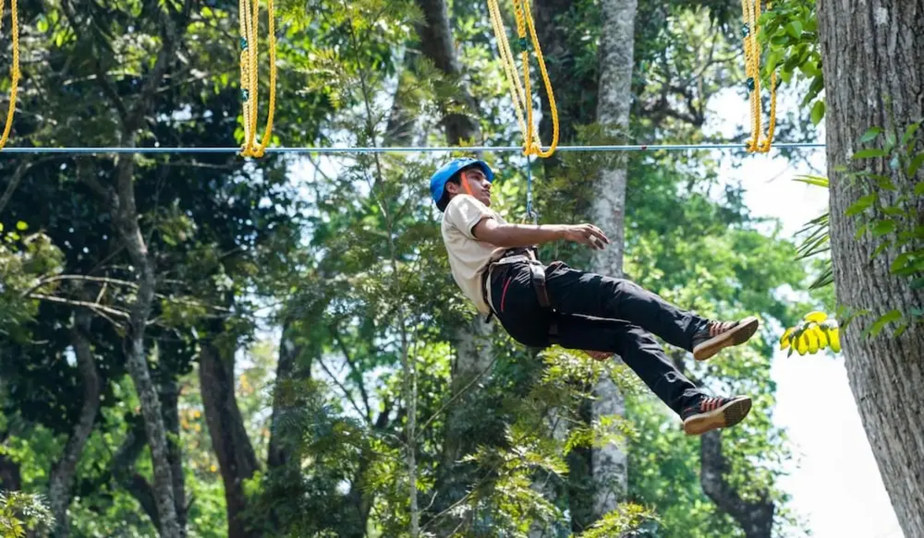 The Windflower Resorts & Spa