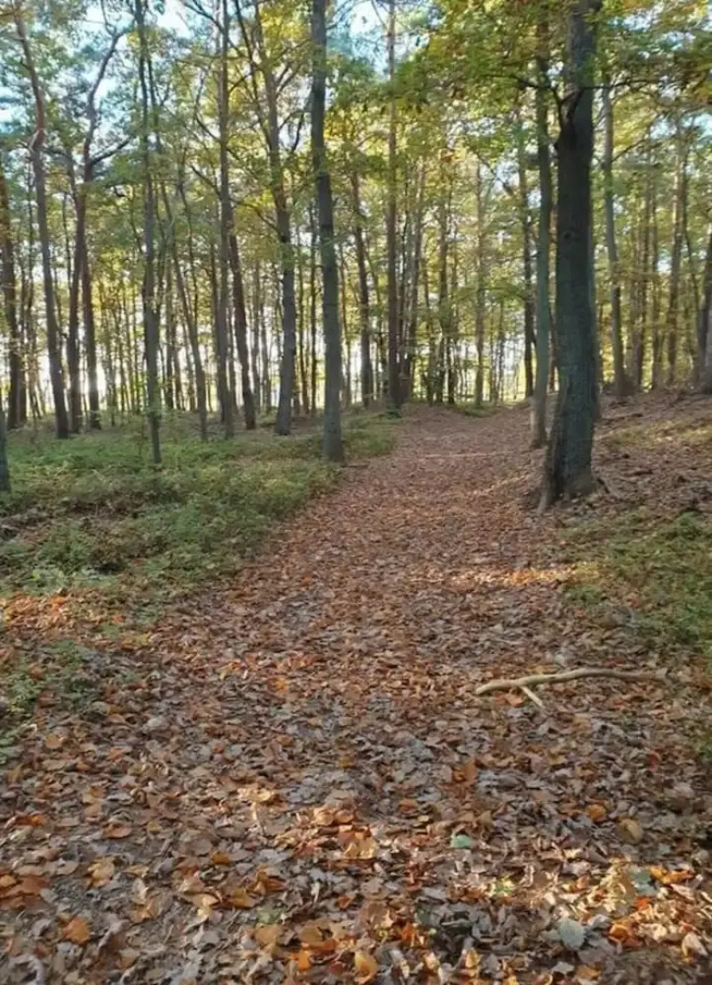 Seeschwalbe Modern Retreat